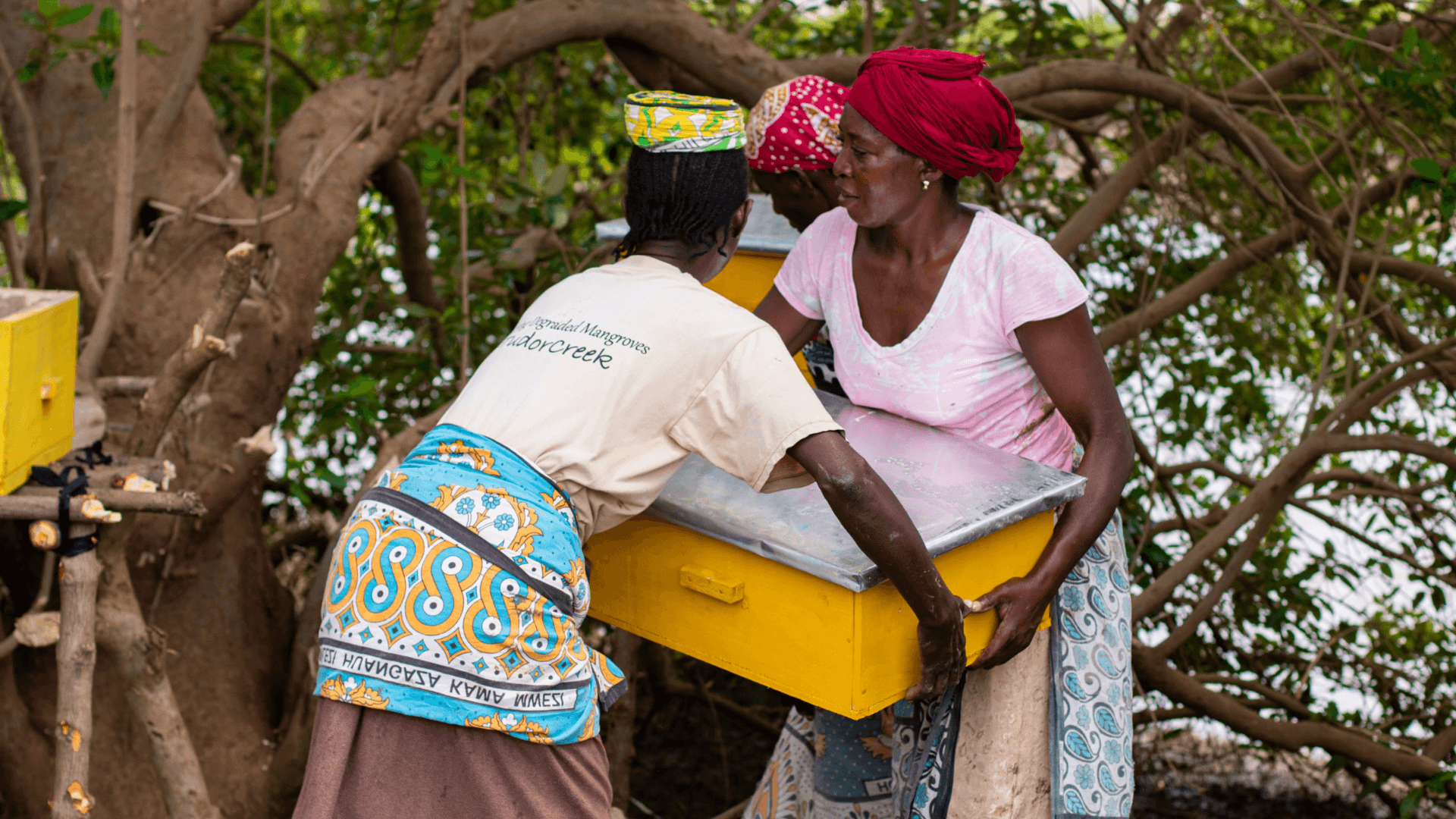 Women Beekeeping - Kenya