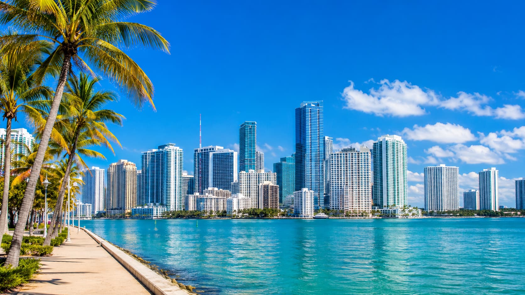 Miami skyline with palm trees and ocean waterfront during sunny weather