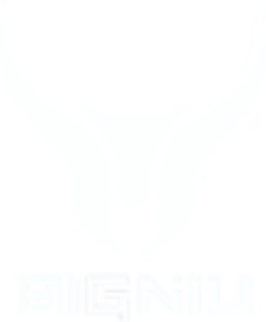 Bigniu logo