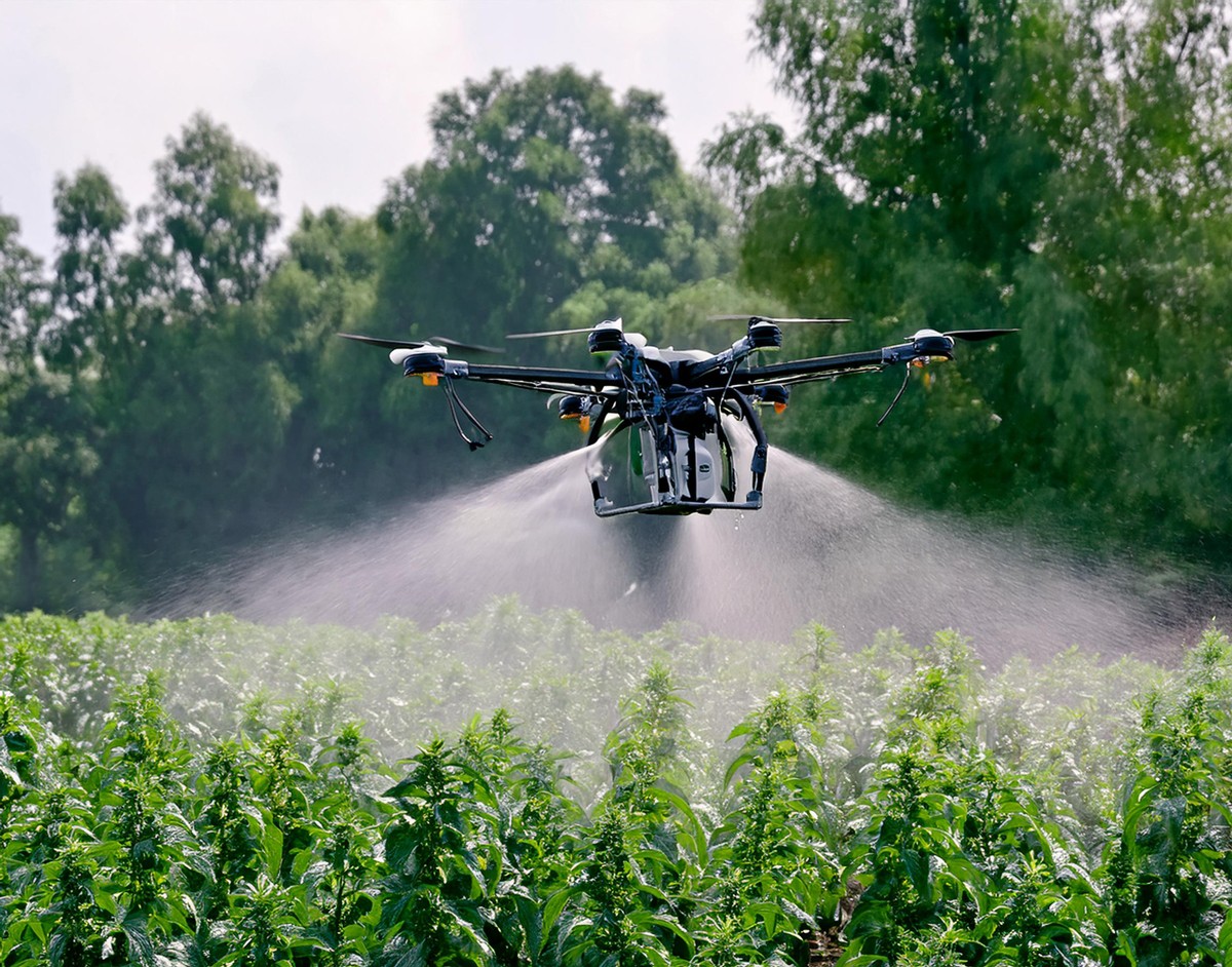 Person applying herbicide to an area of vegetation.