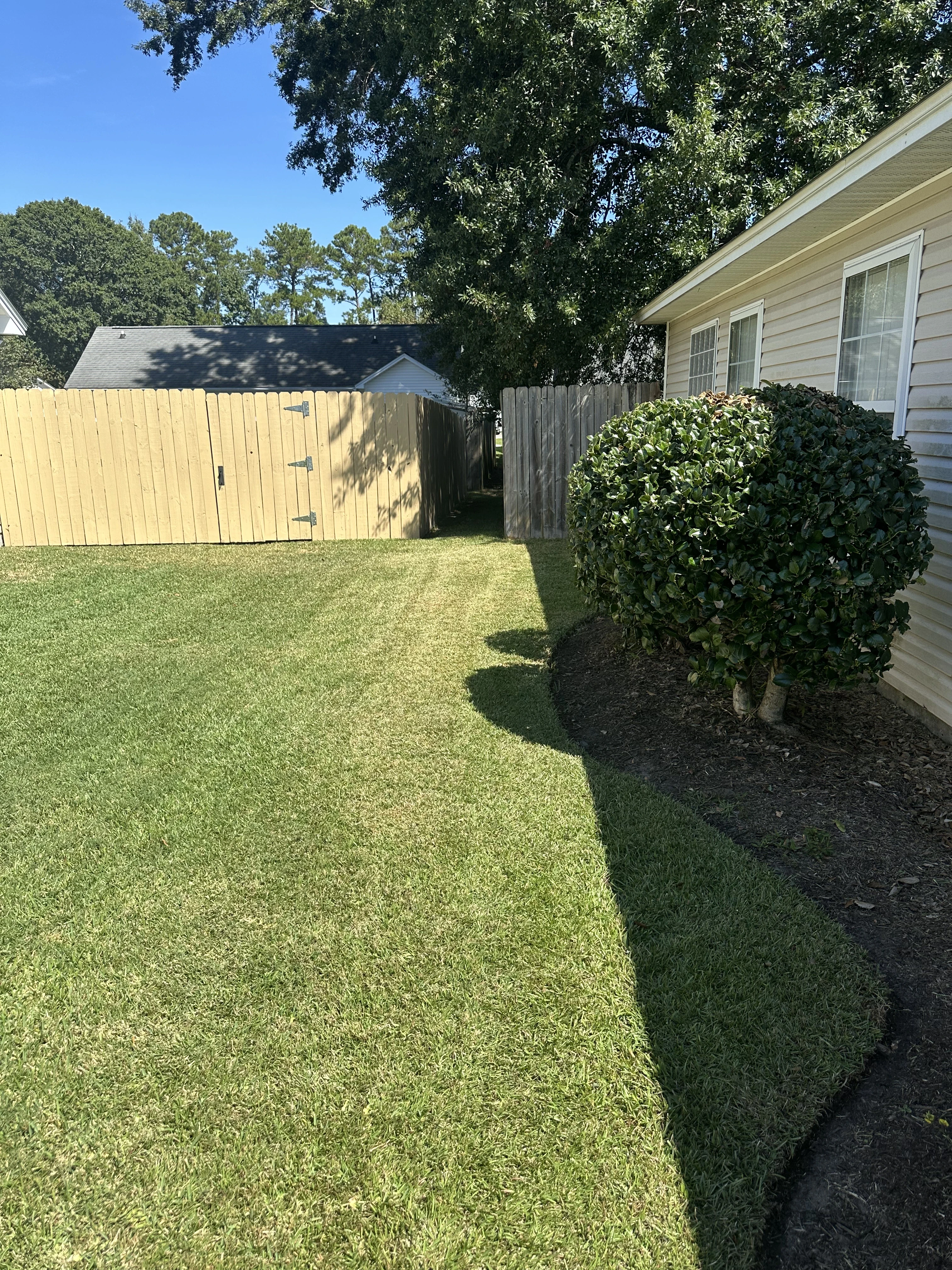 Beautiful landscaped garden with greenery and outdoor design elements.