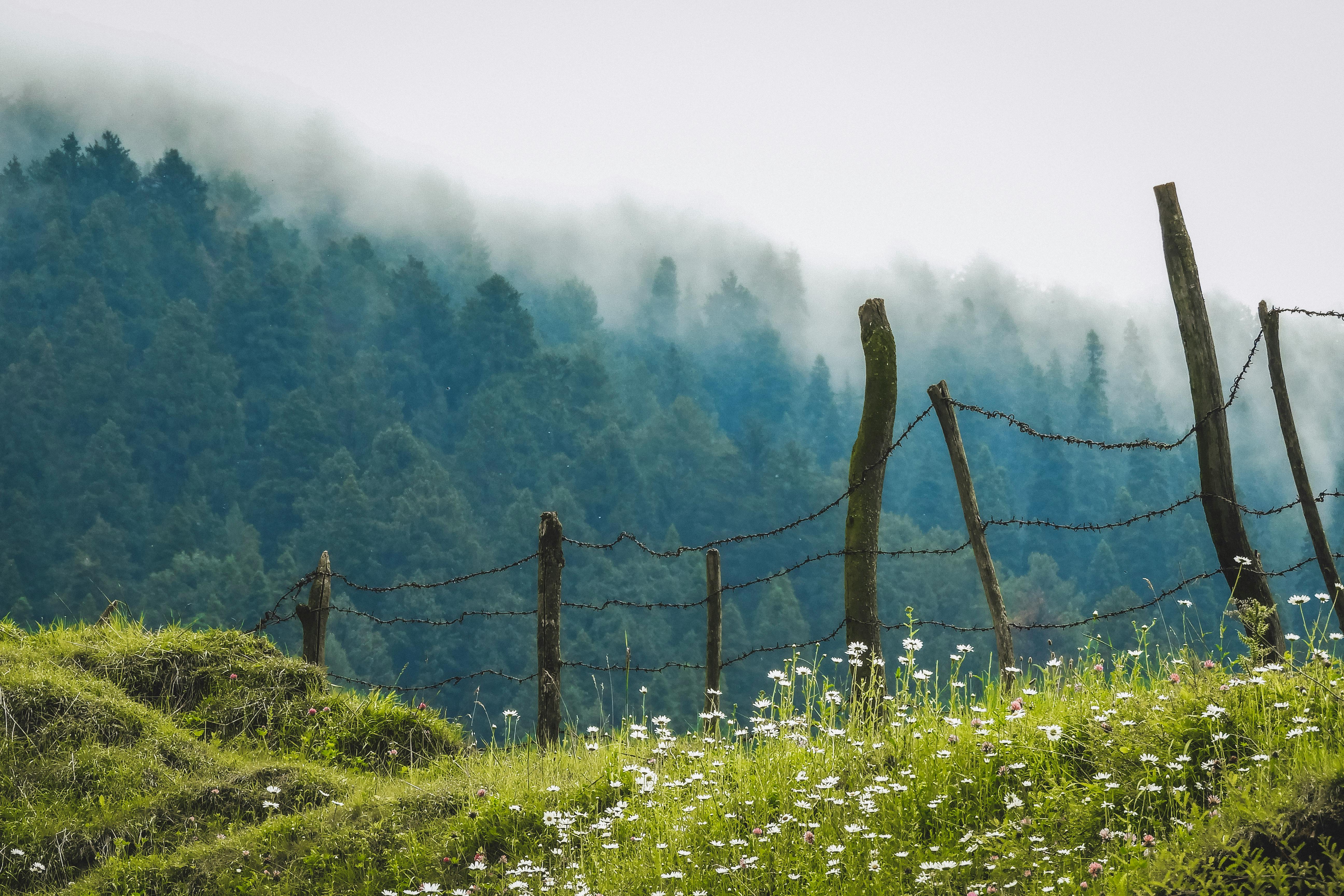 a black and white living room with a large tv