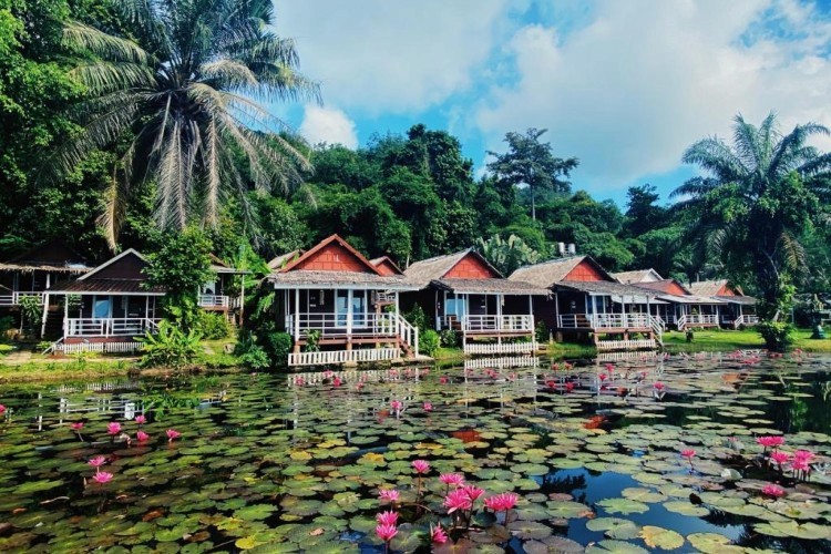 sunloungers fronting buildings near mountain