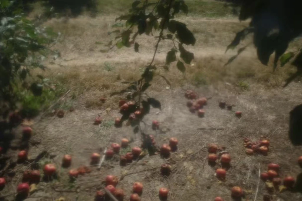 The image featured in the middle of the about us page