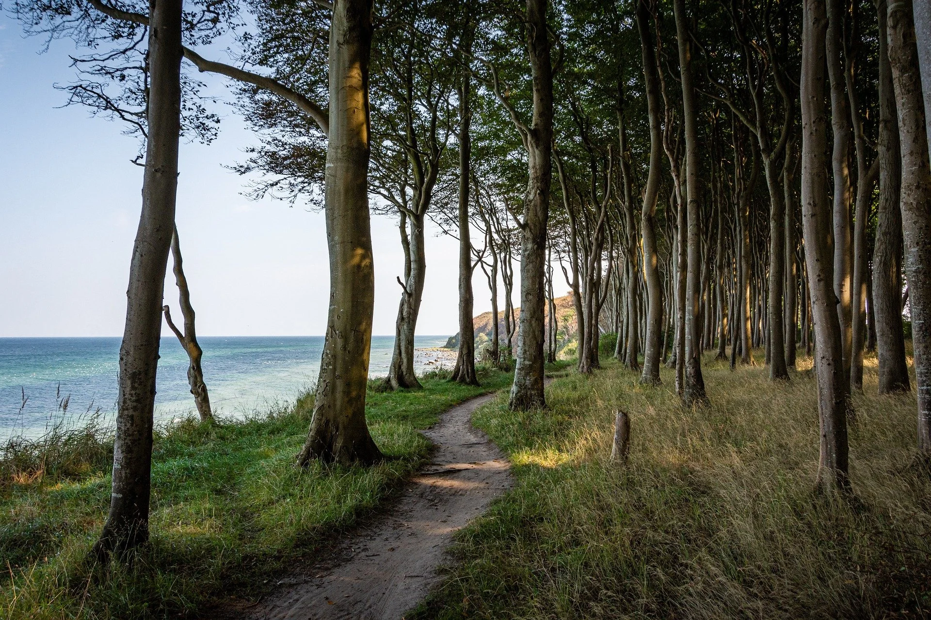 Ein Pfad im Wald entlang einer Küste.