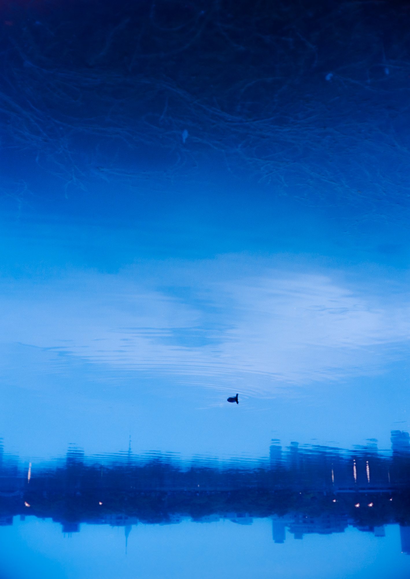 Taisei Matsumoto, index photograph 12