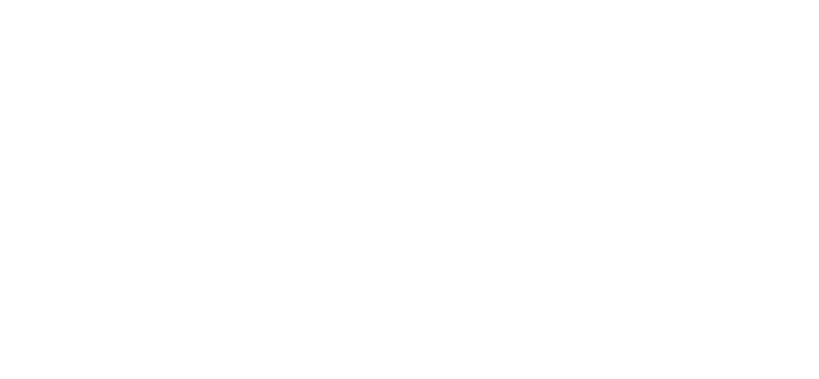 Logo White