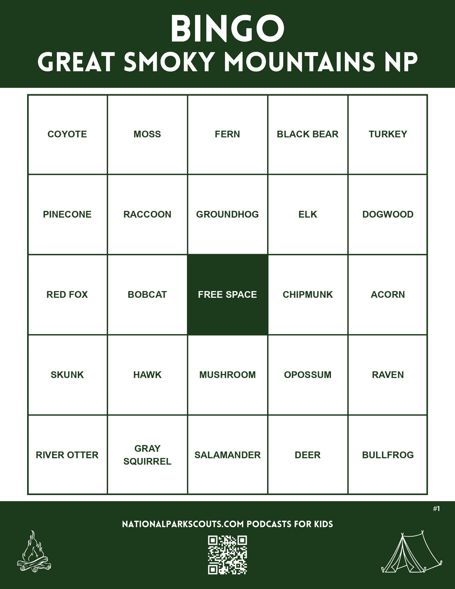 Great Smoky National Park Bingo Card