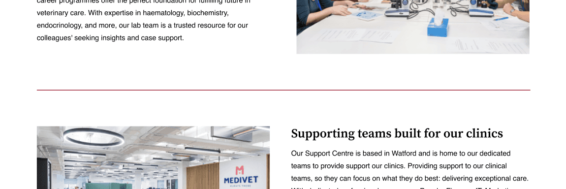 Divider section demonstrated