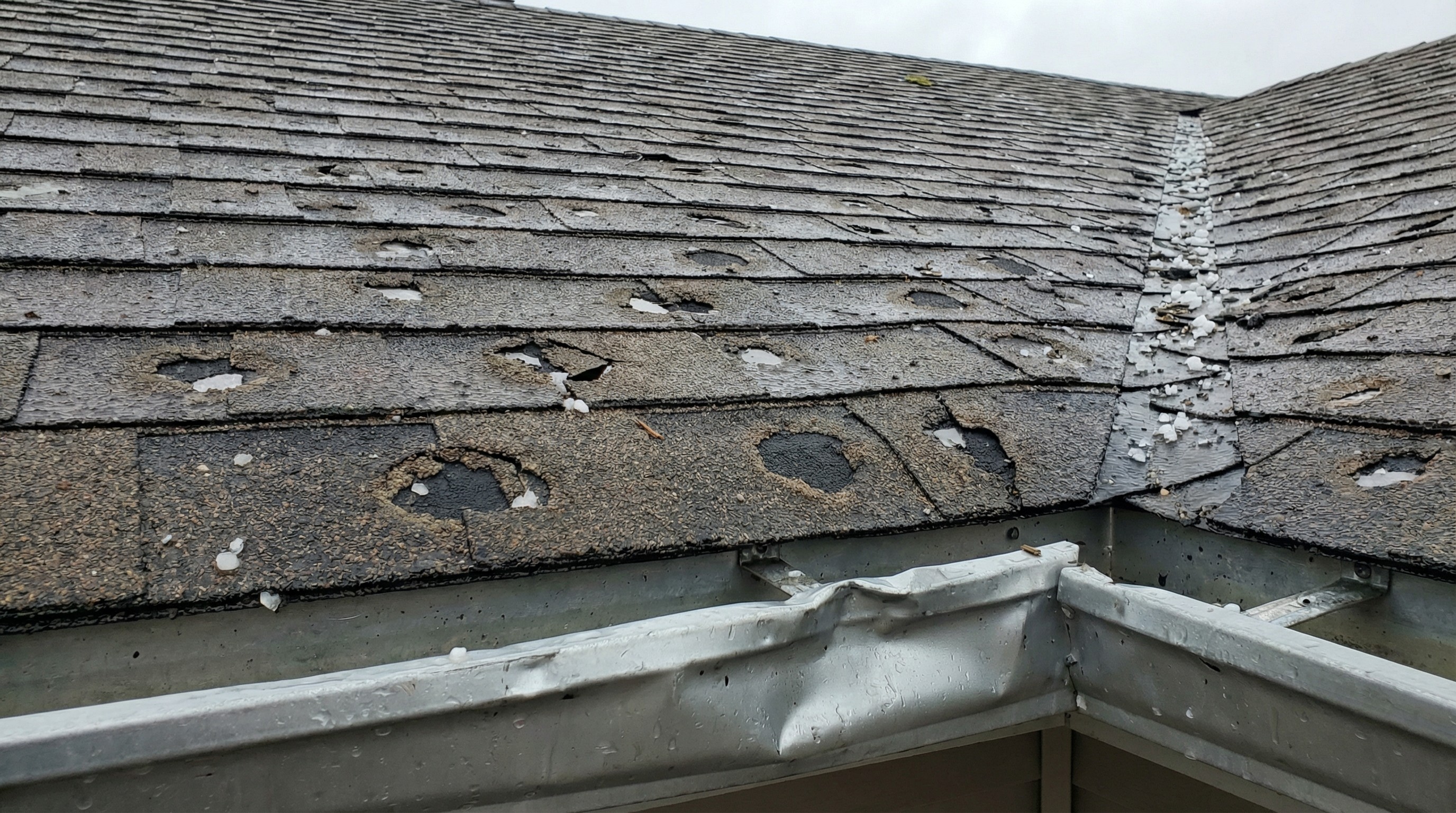 Hail roof damage showing circular dents and granule loss on asphalt shingles