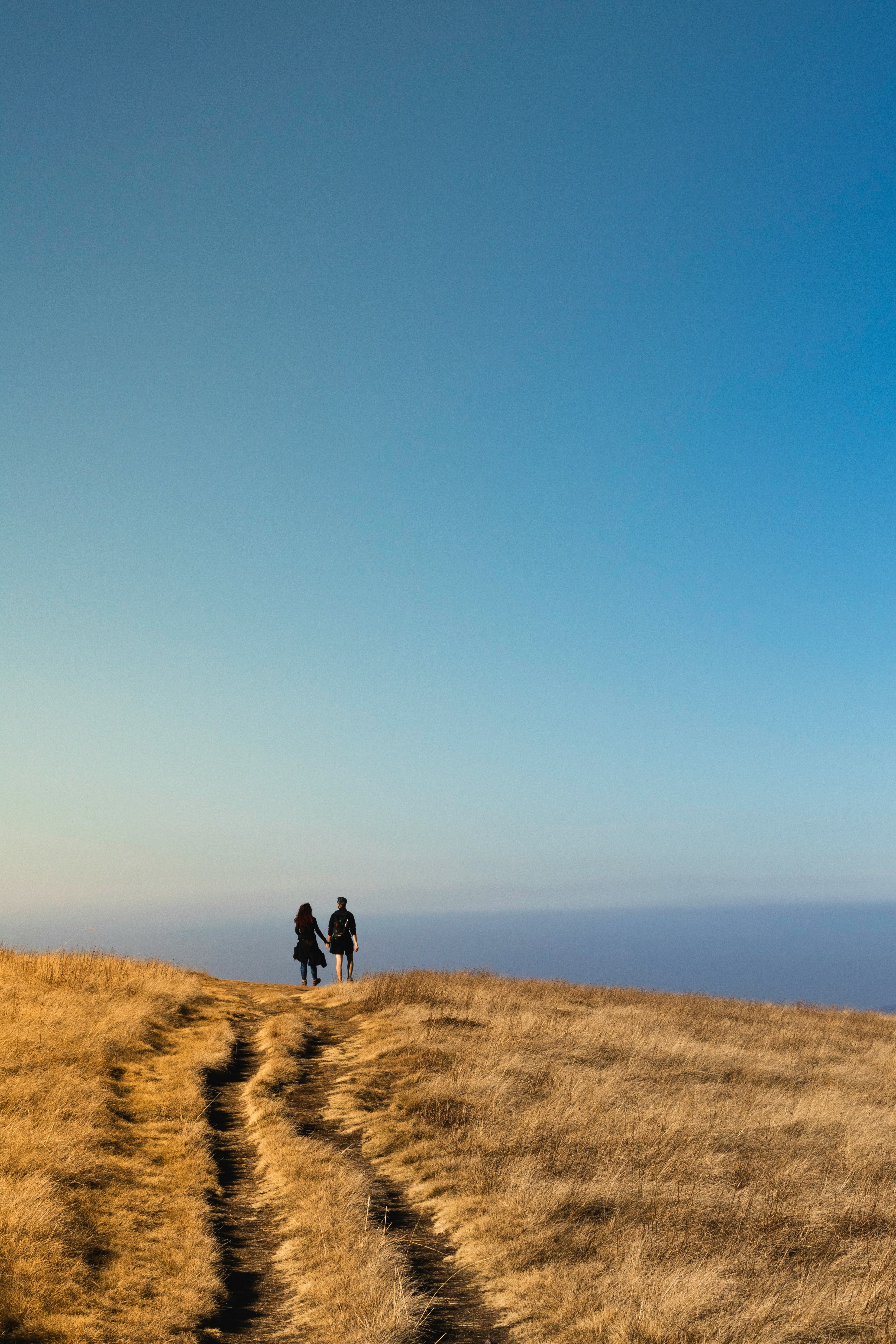Work-Life Balance Couching