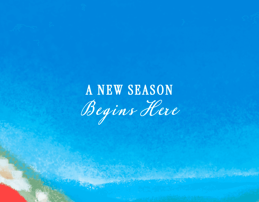 VINEVIDA Spring Lucca Moleta