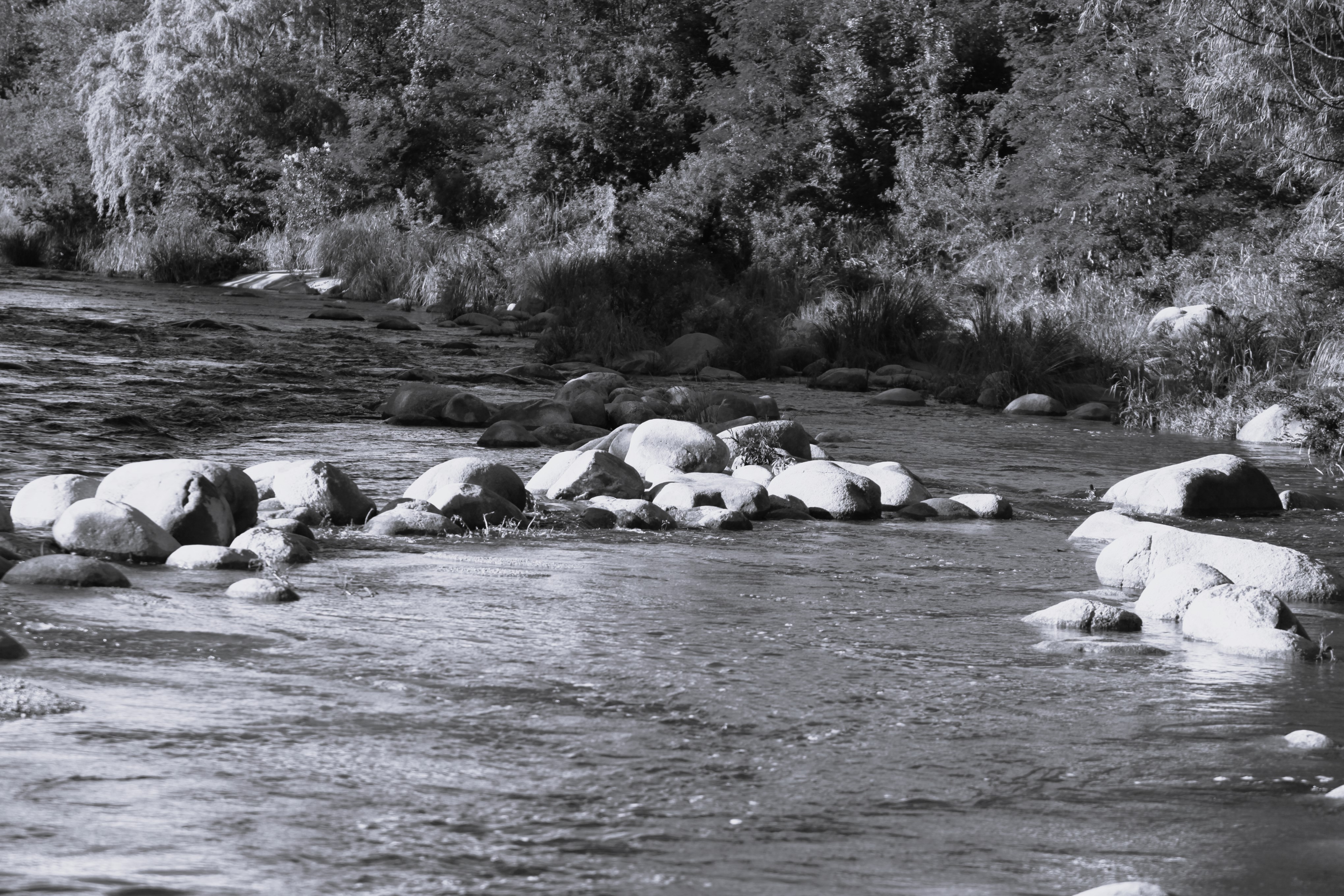 Photo of Hamza as a music producer