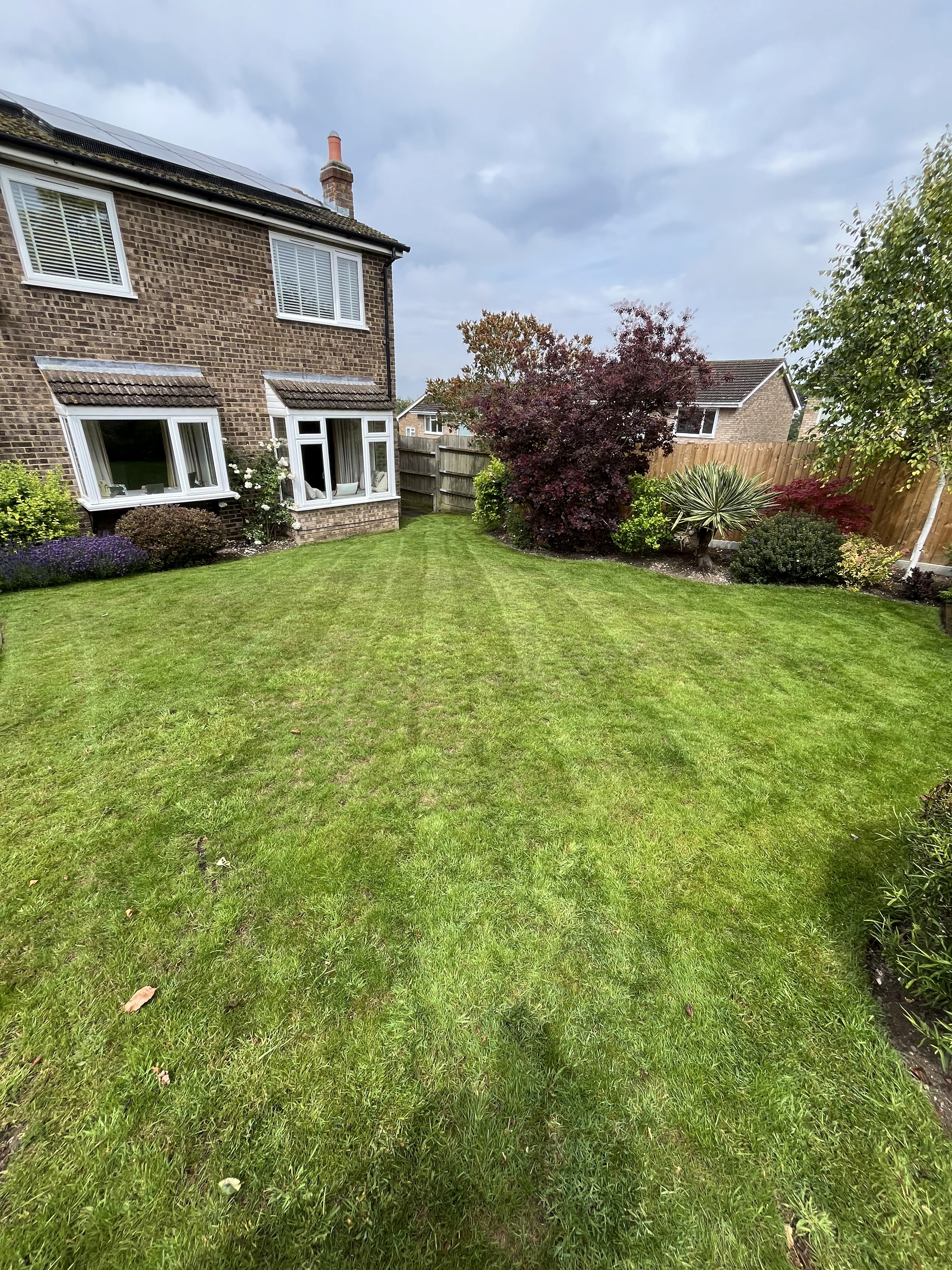 Recent lawn mowing work
