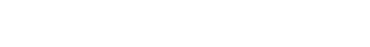 WebAuth Wallet logo