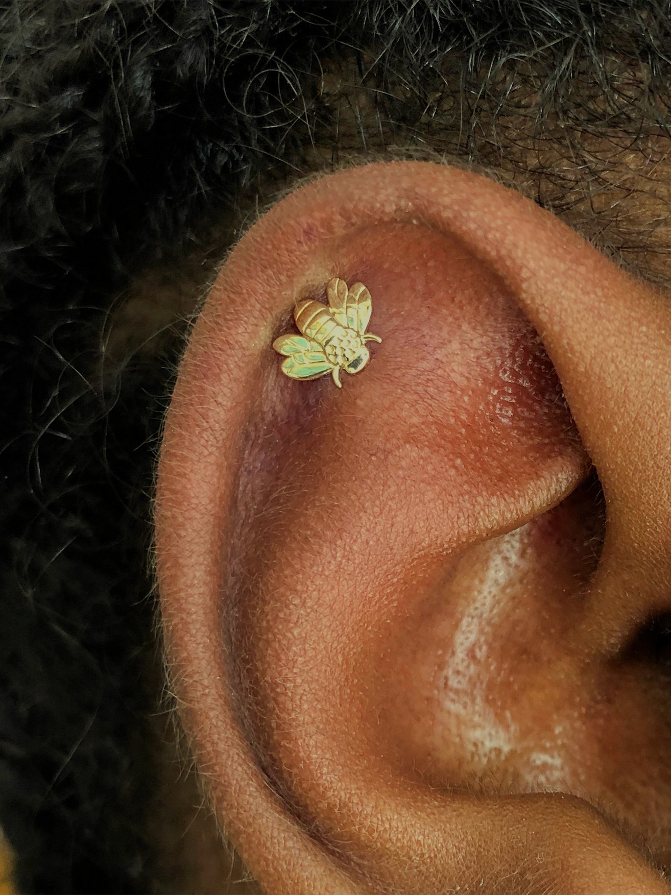 Tradecraft Body Piercing Ocean City Maryland Cartilage Piercing