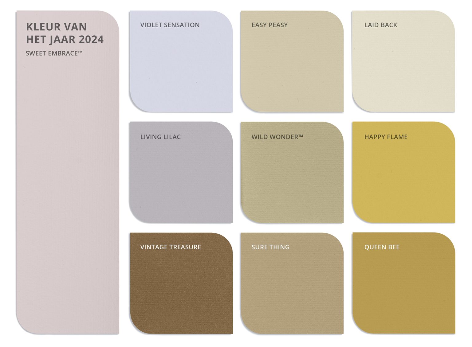 kleurenpalet vrolijk 2024