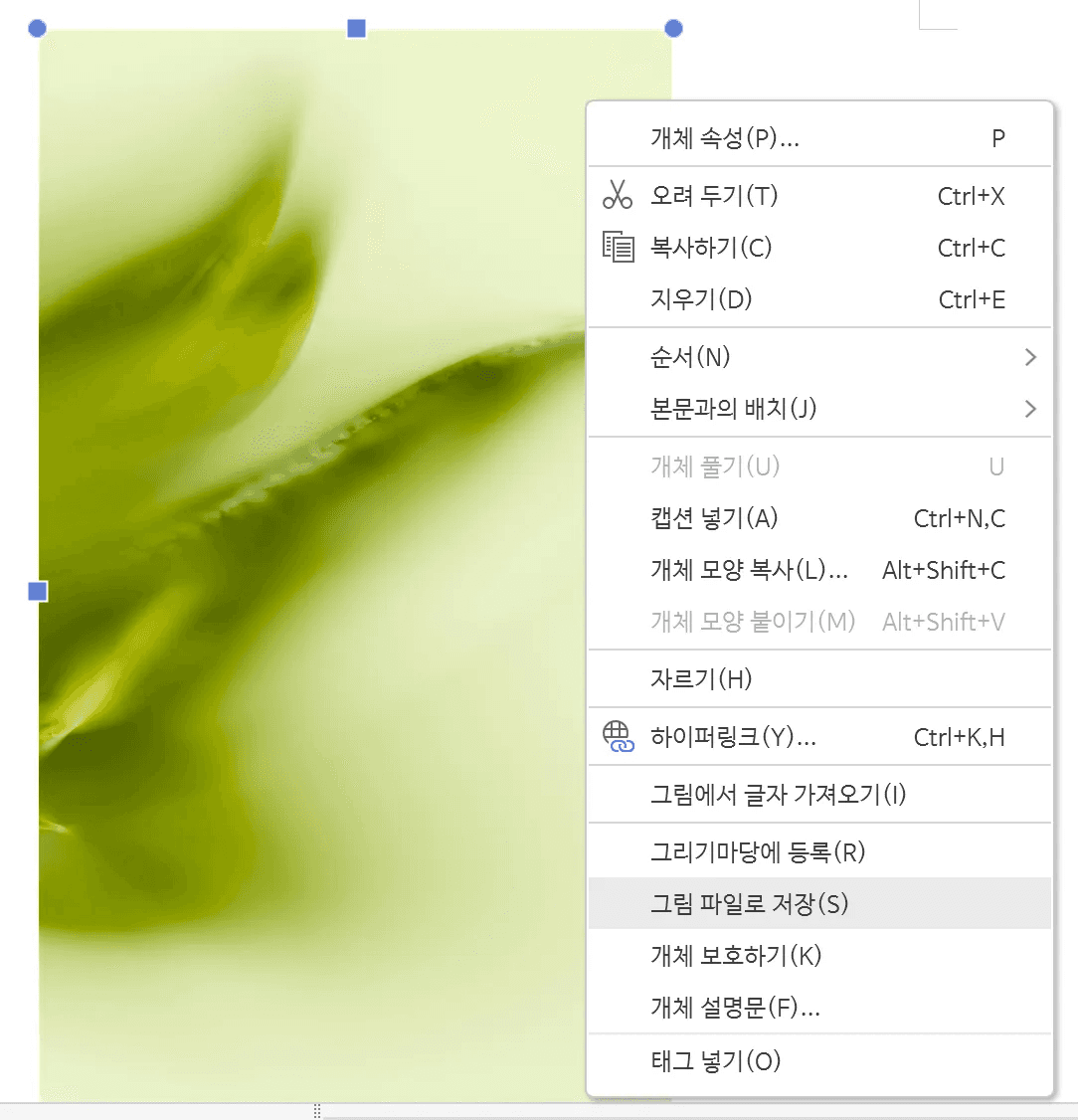 한글 그림 파일 회전 캡션 문제 그림 목차 업데이트