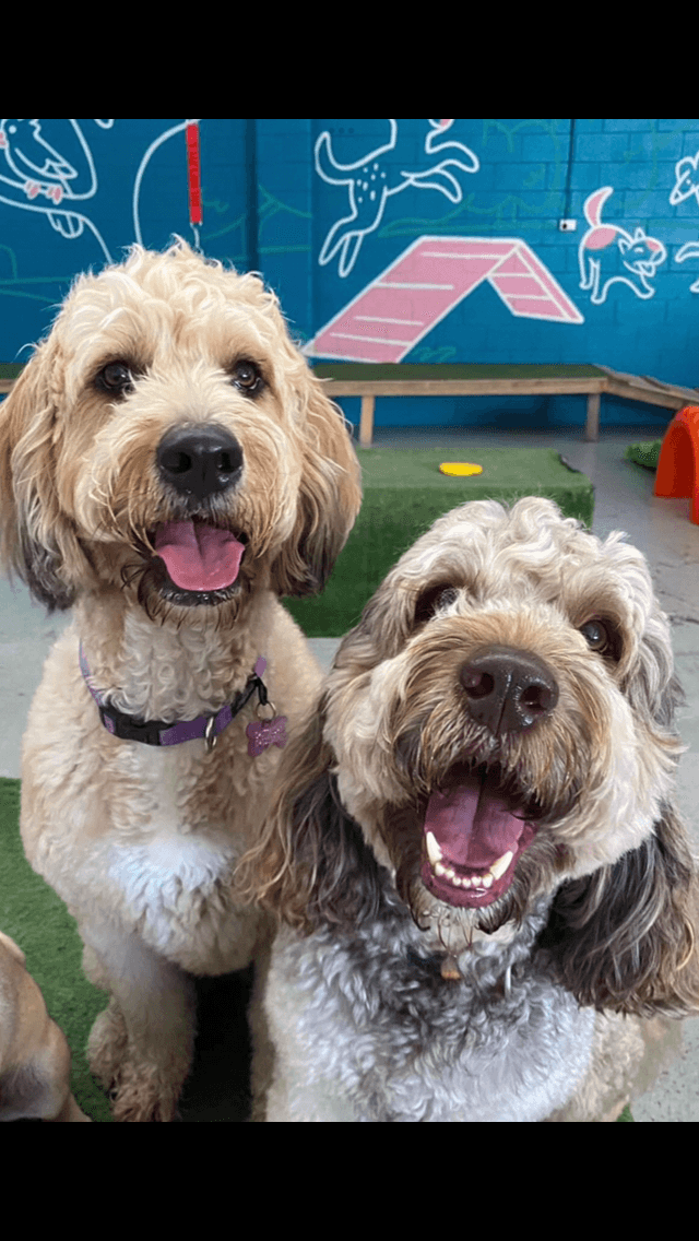 Customer Review Avatar