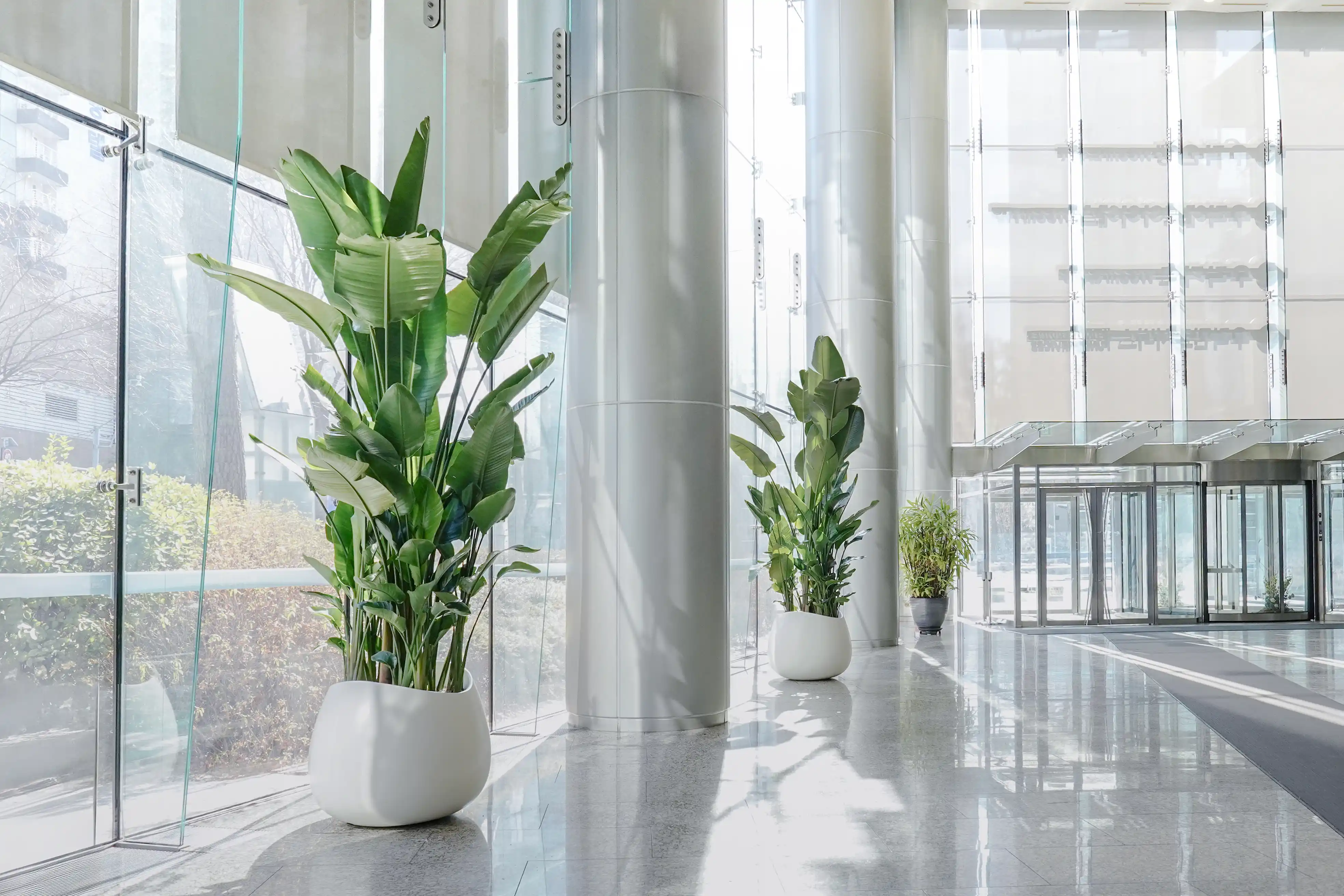 조경업체 에코피플이 설치한 디자인화분 조경