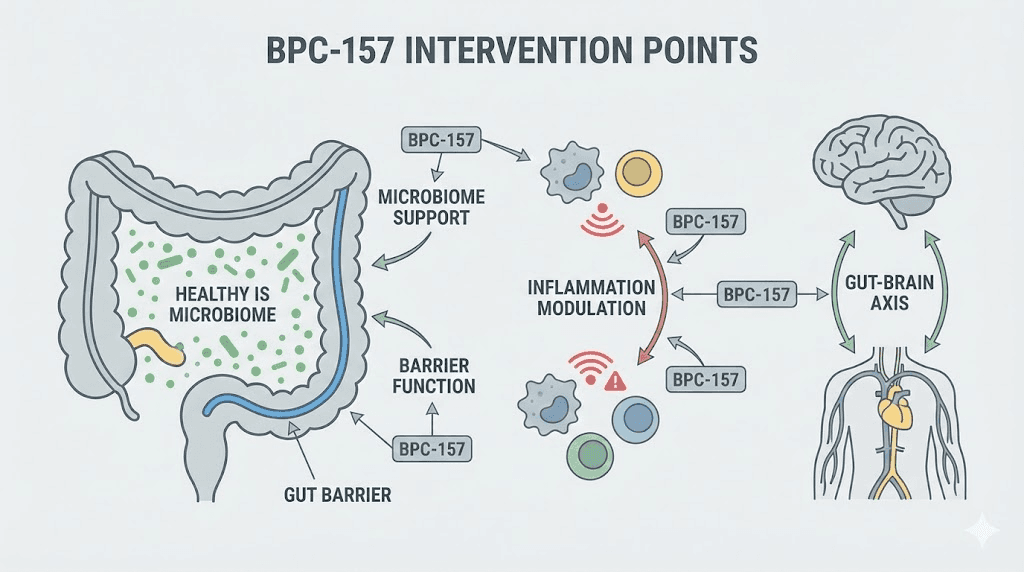 best peptides for immune system