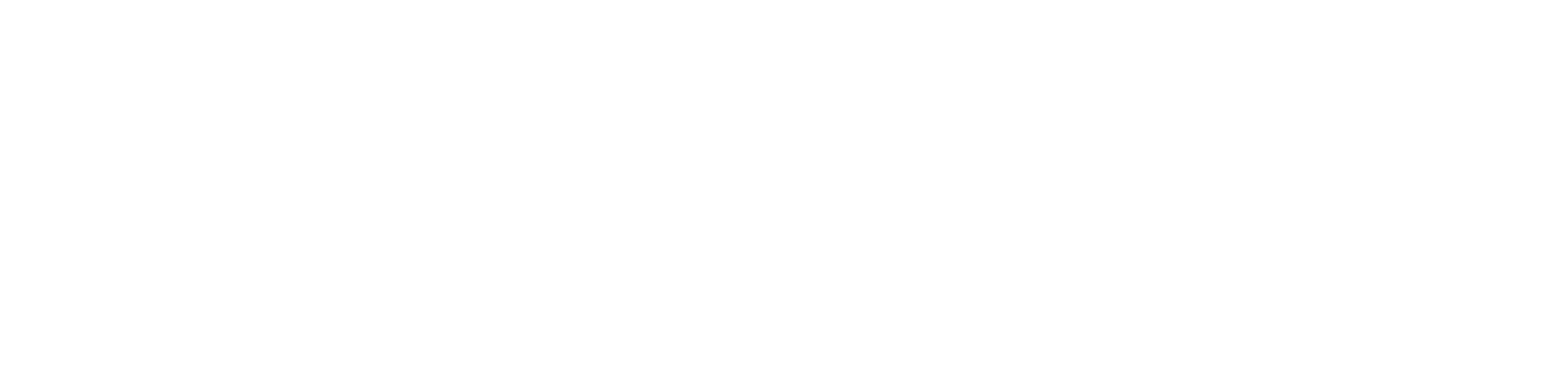 Logo featuring a plus sign and stylized text, conveying a sense of health and wellness.