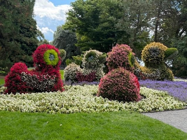 En bild som visar utomhus, trädgård, träd, växt

AI-genererat innehåll kan vara felaktigt.