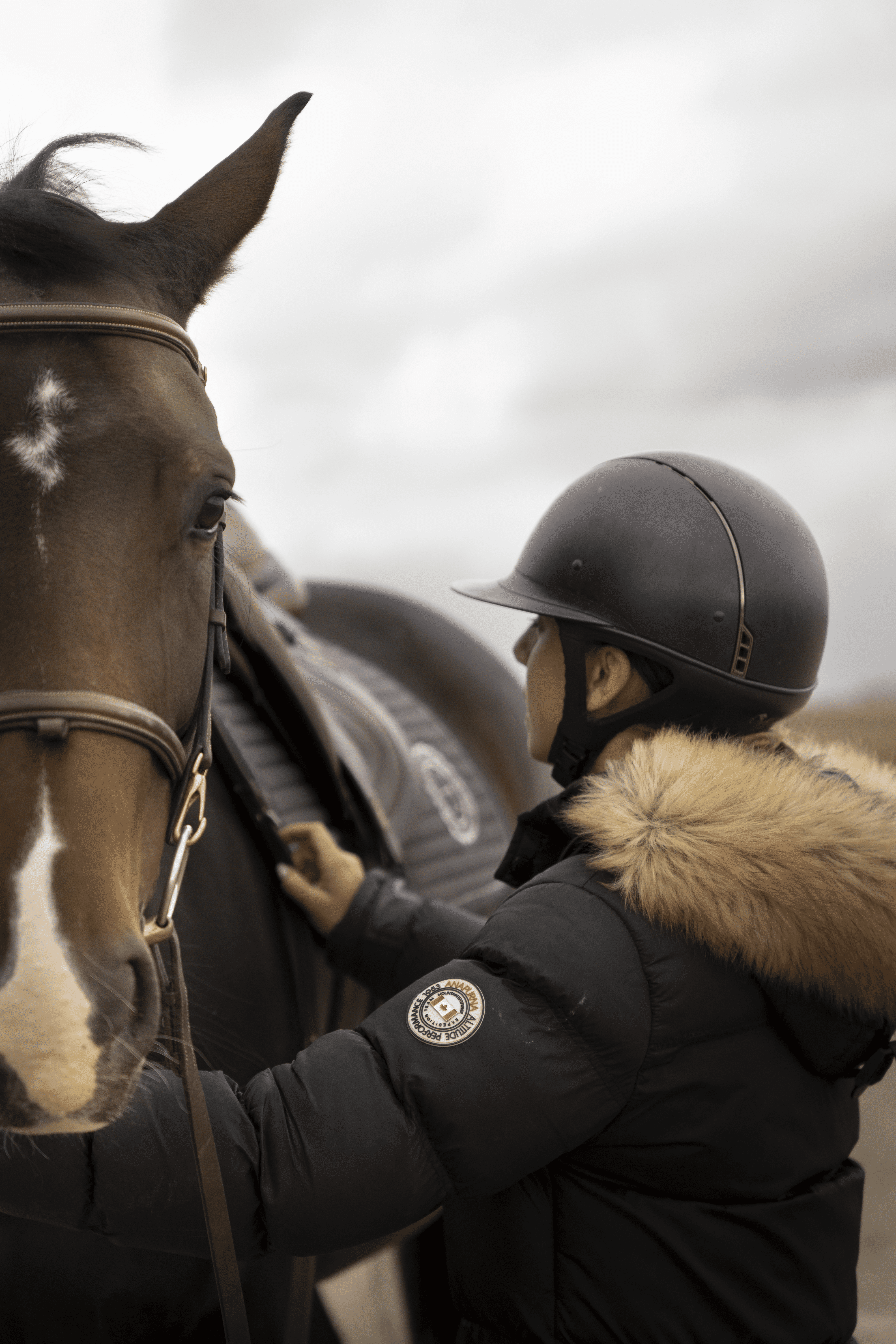 photographe-equitation-alsace