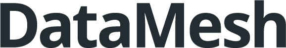datamesh logo