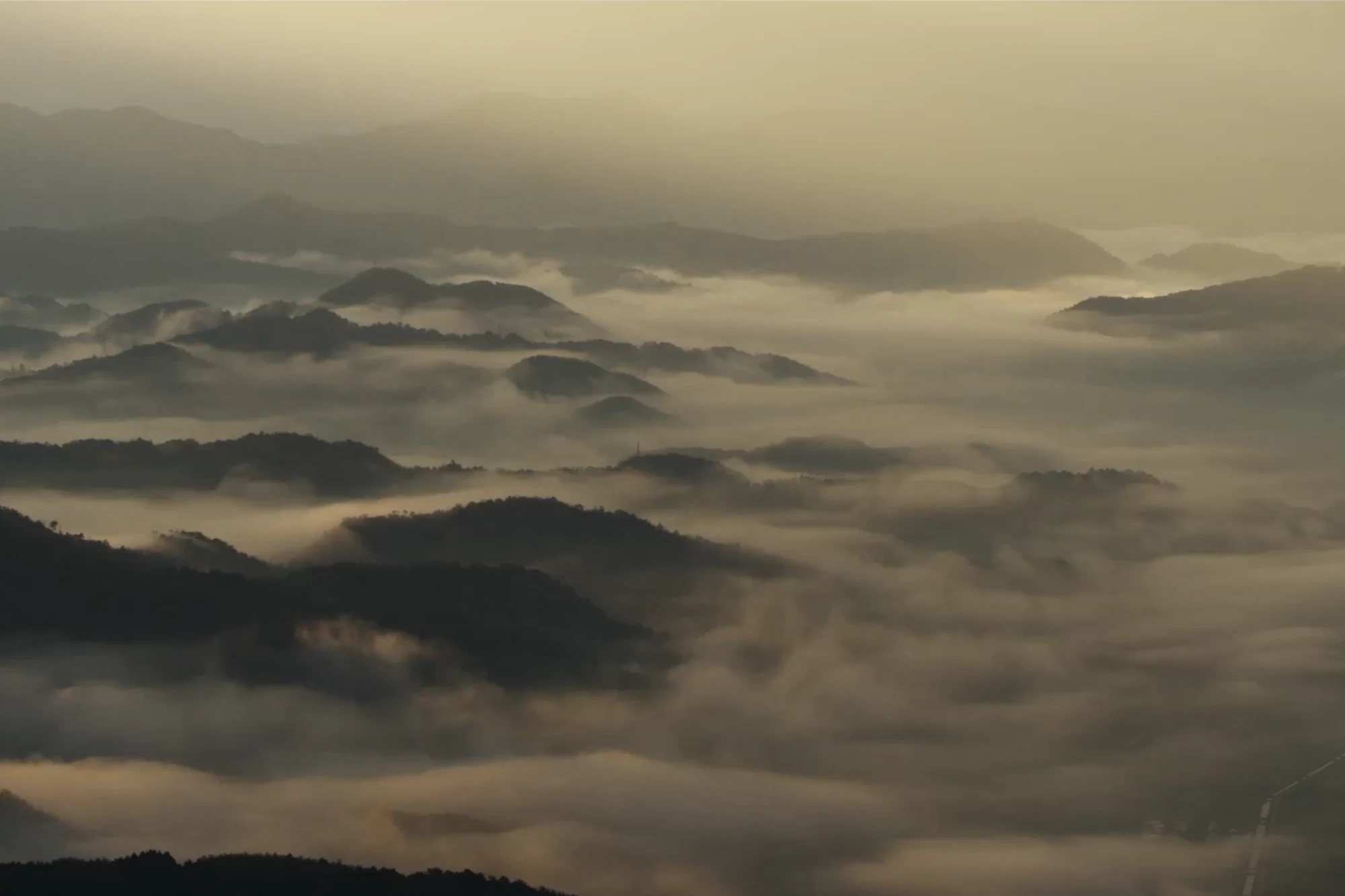A sea of cloud filling the valleys between wooded ridges at dawn in the Tajima region.