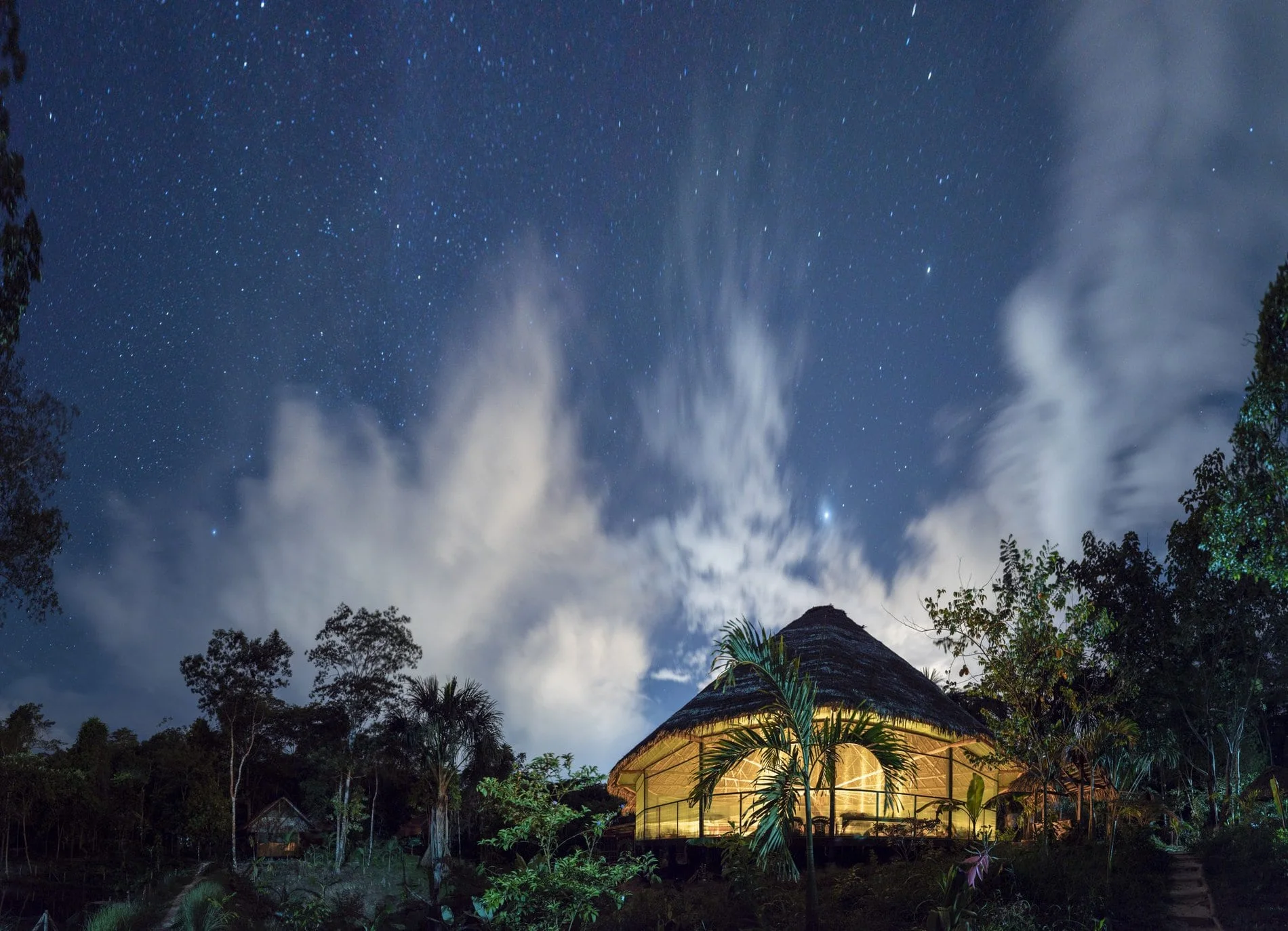 Resort surrounded by coconut trees with a swimming pool