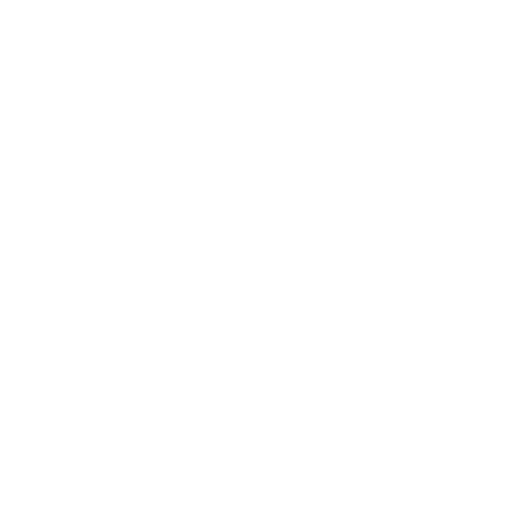 Fal AI Flux Realism Model