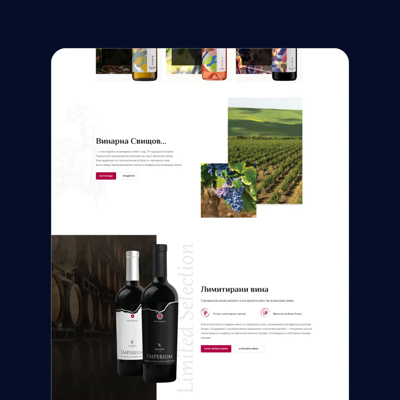 Shishtov Winery and Pansyer | Case Study