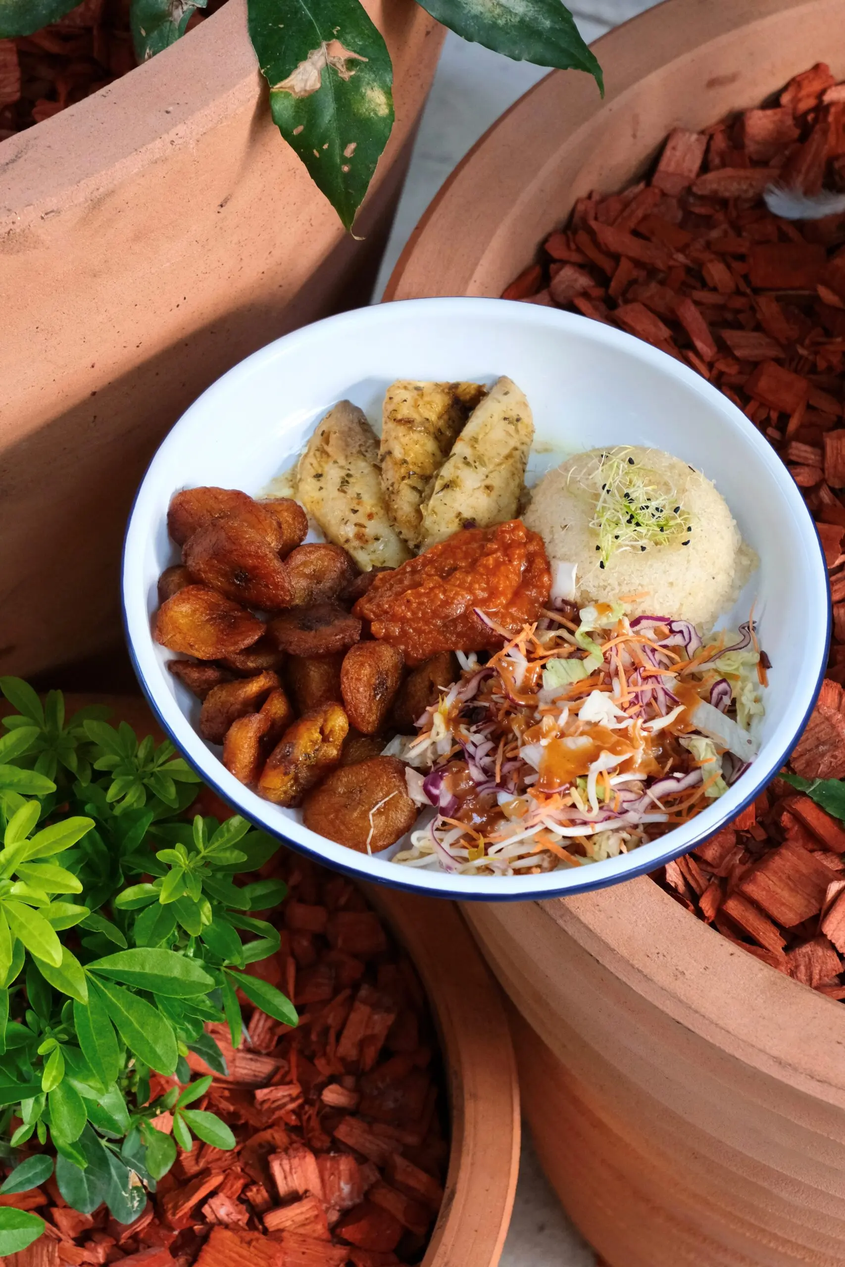 plat très coloré pleins de légumes et de riz