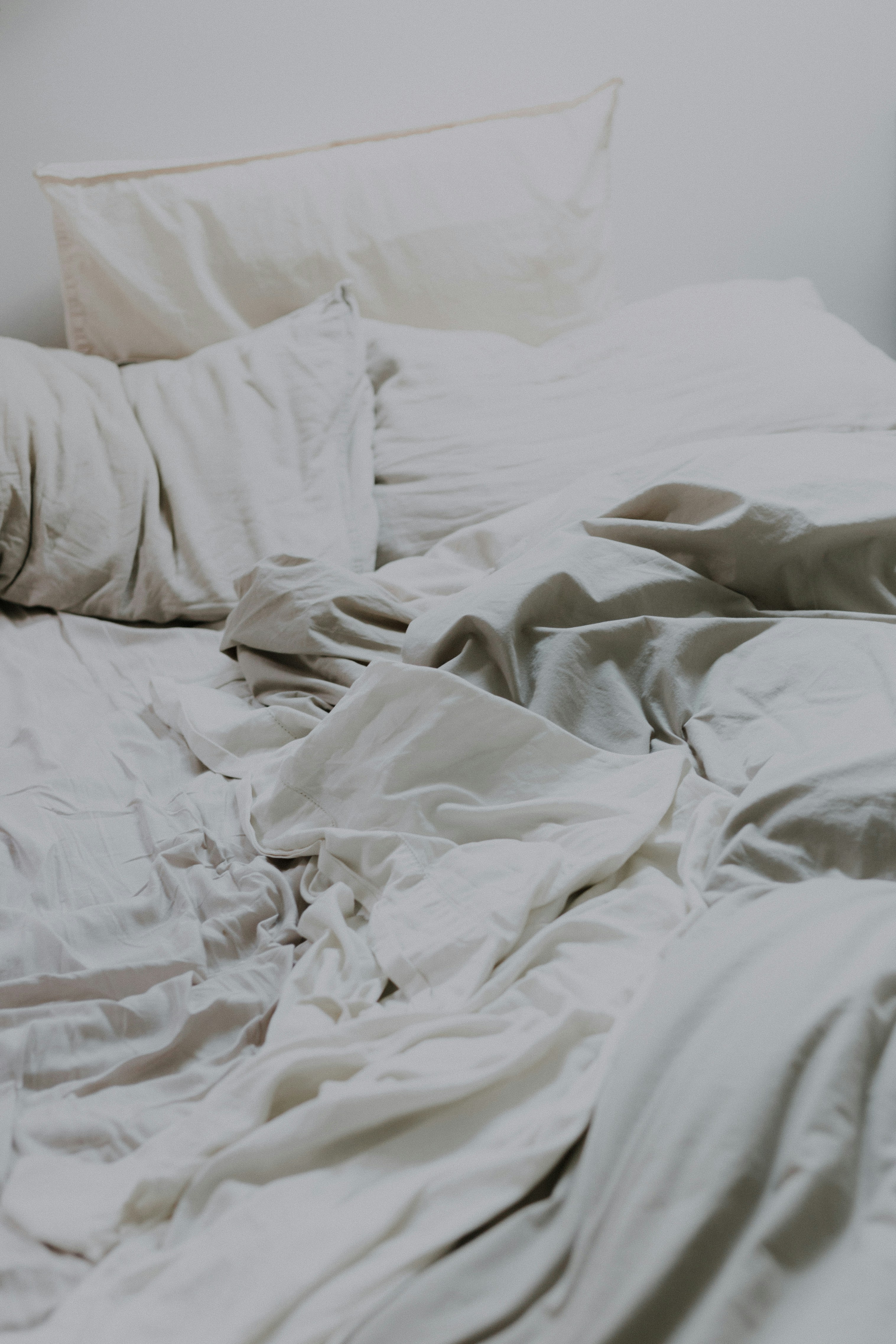 Bed bug treatment, Central Coast NSW