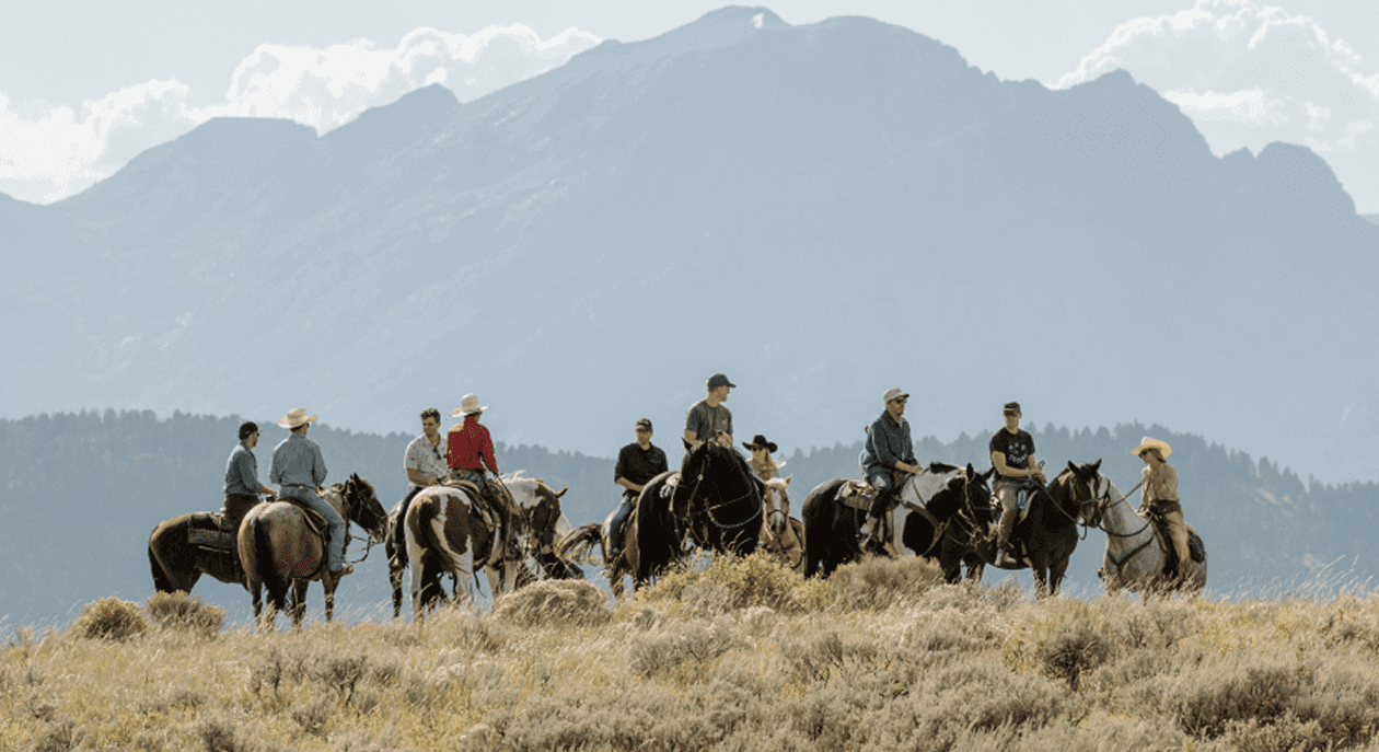 UserEvidence_horses