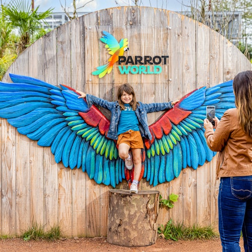 鸚鵡世界：克雷西拉沙佩勒的一日票