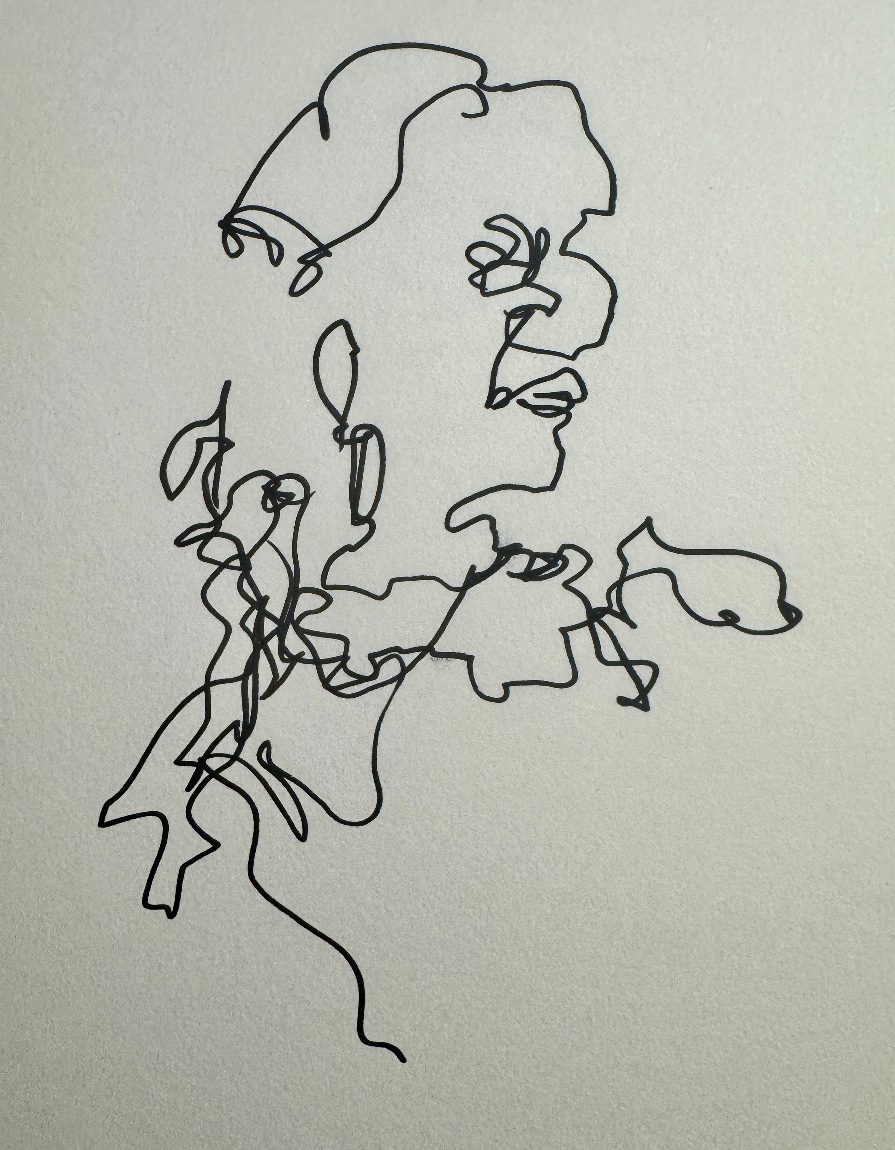 Blind contour portrait from the Second Harvest Summit by Tracey Halvorsen