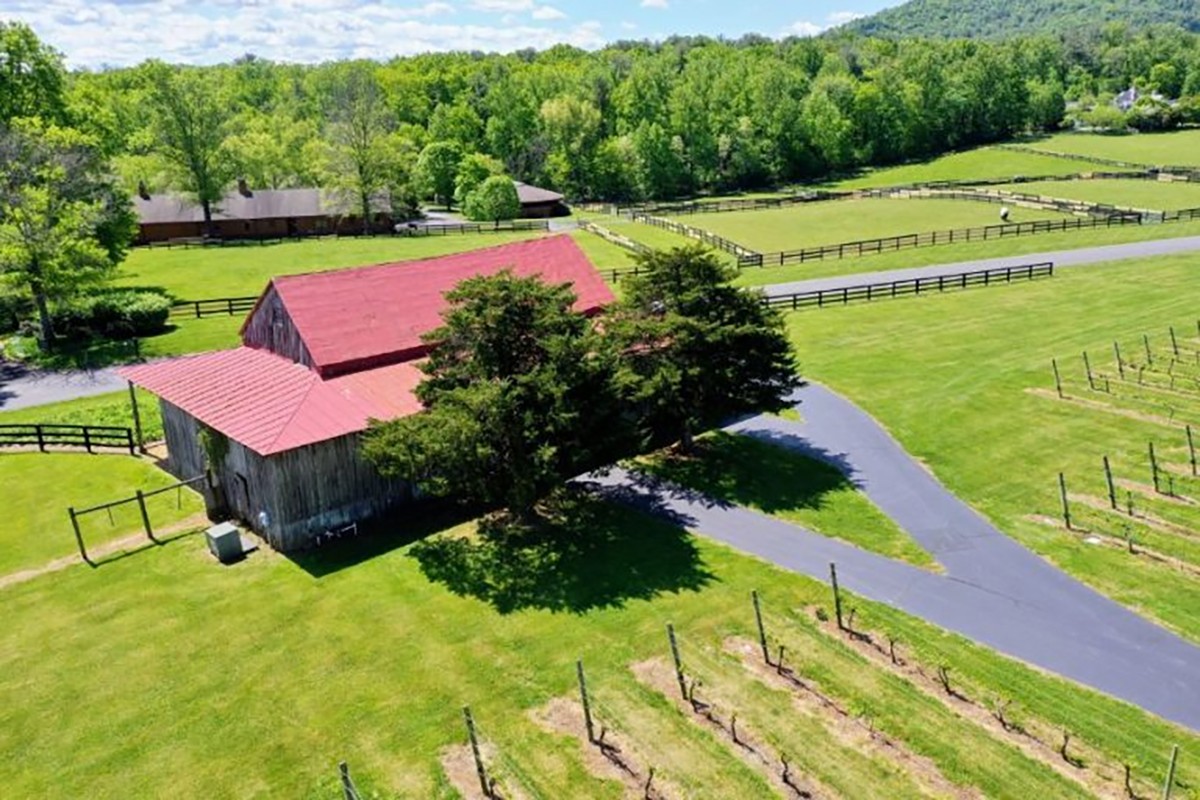 Visit the White Hall Vineyard in Crozet Virginia on your next wine tour