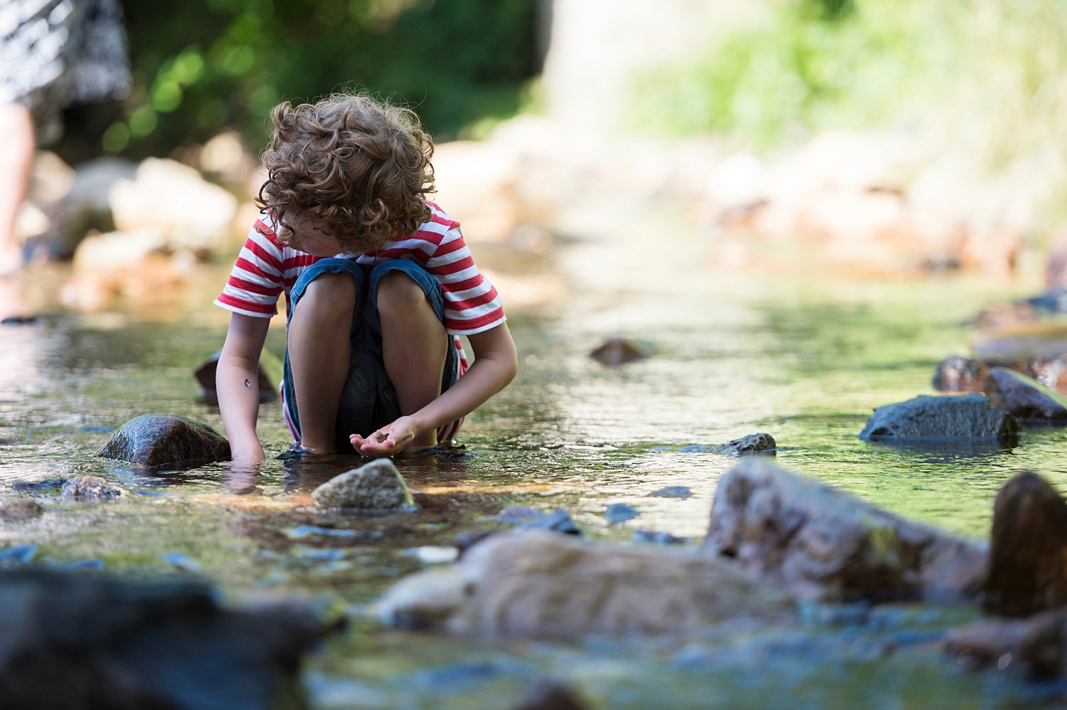 Junge im Bach am suchen nach Edelsteine