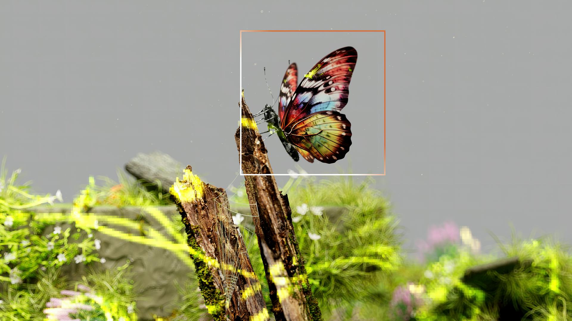 Butterfly in Motion rendering detail