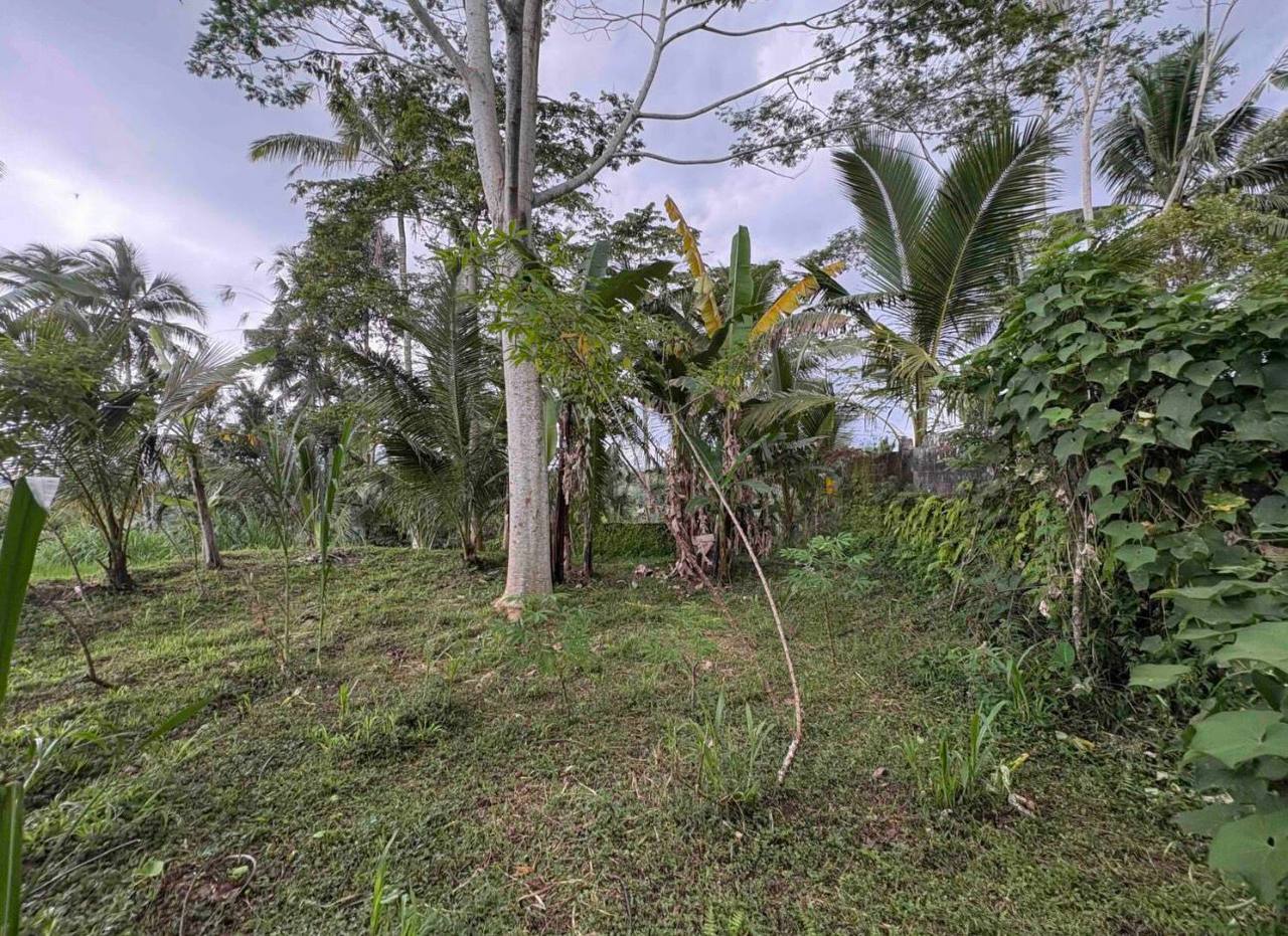 Land plot 4,000 m² in Buahan, Ubud area, Leasehold