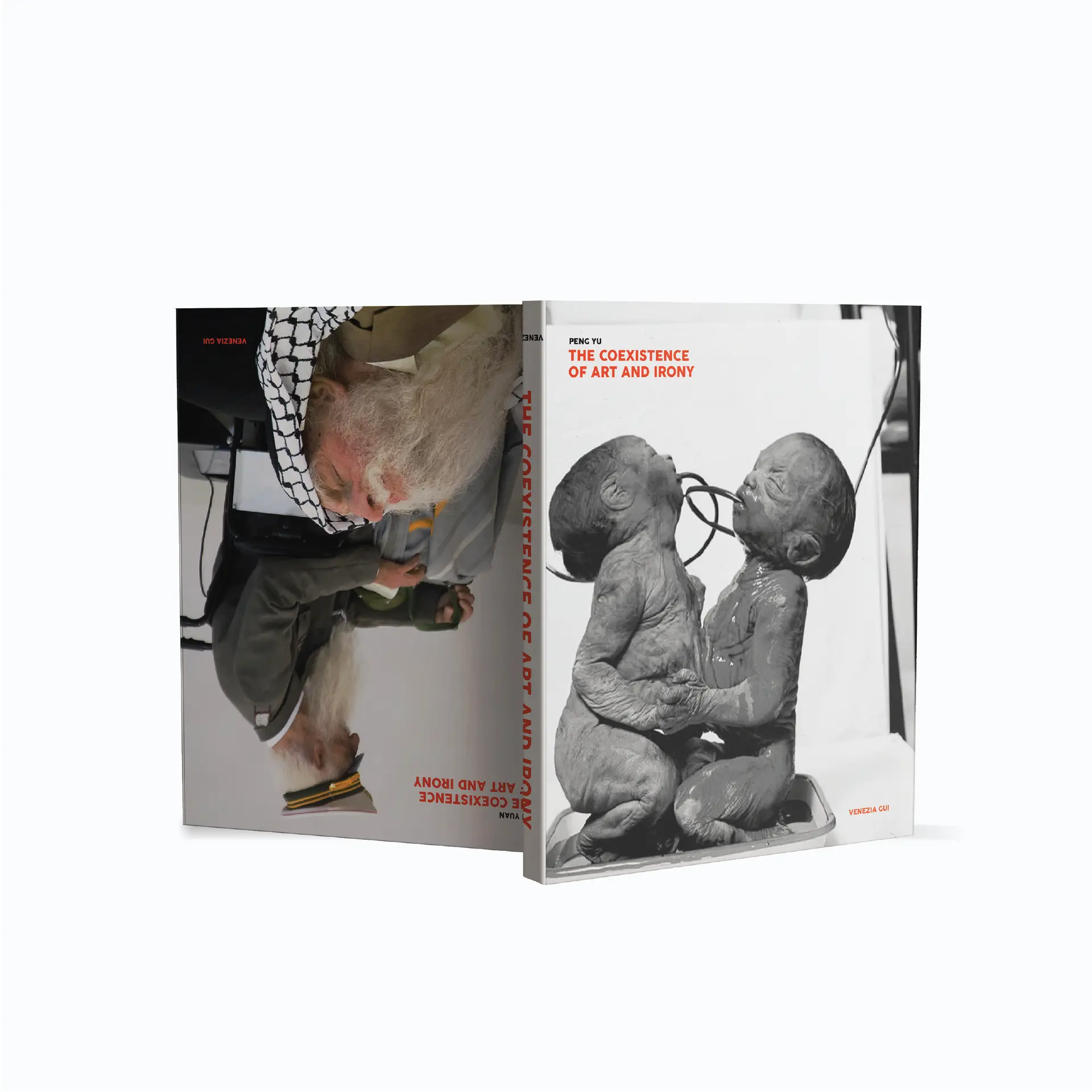Spread out of the cover, one of which is upside down and each featuring different artworks
