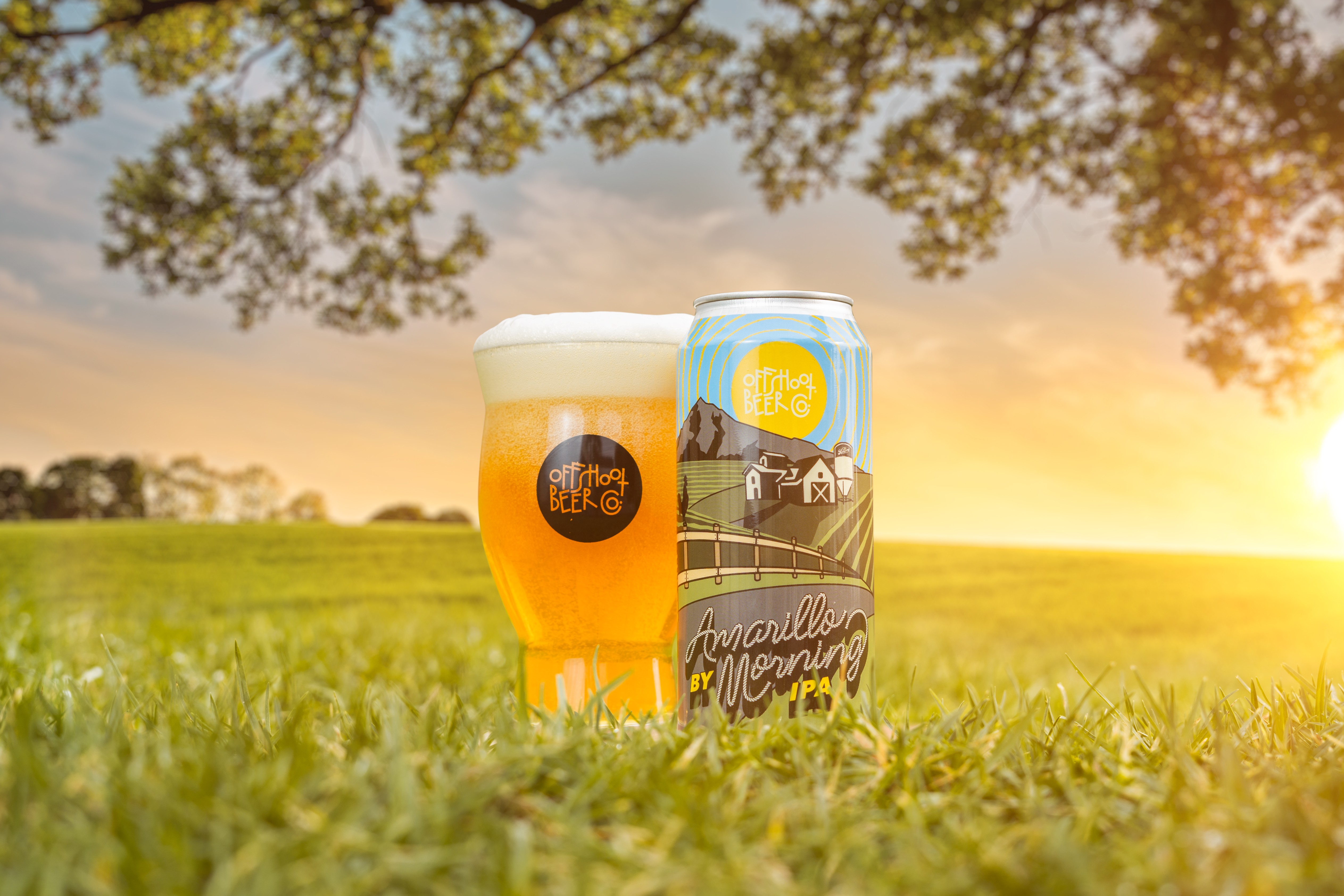 Sunset beer can and glass in field at golden hour