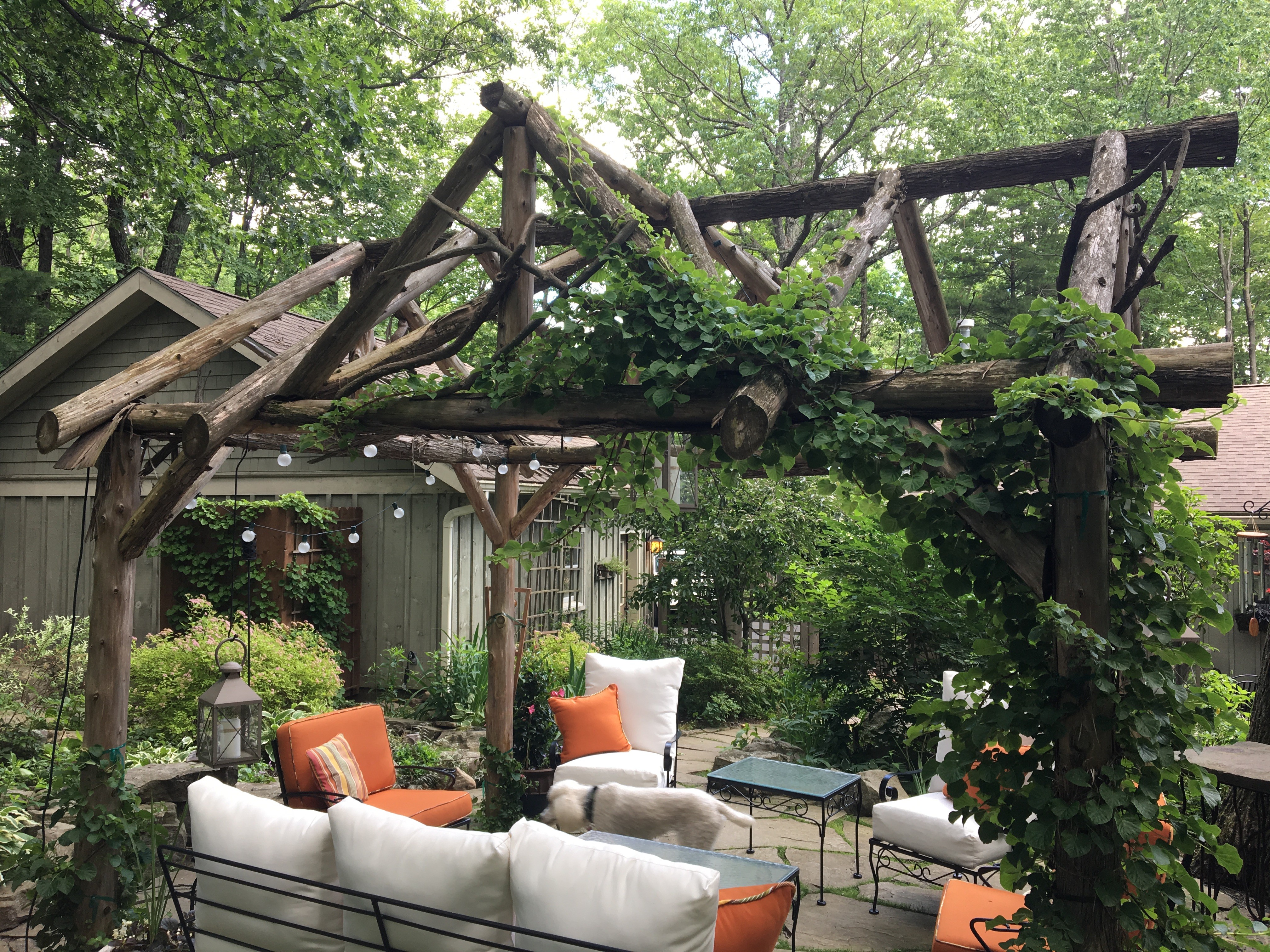 A peaceful background