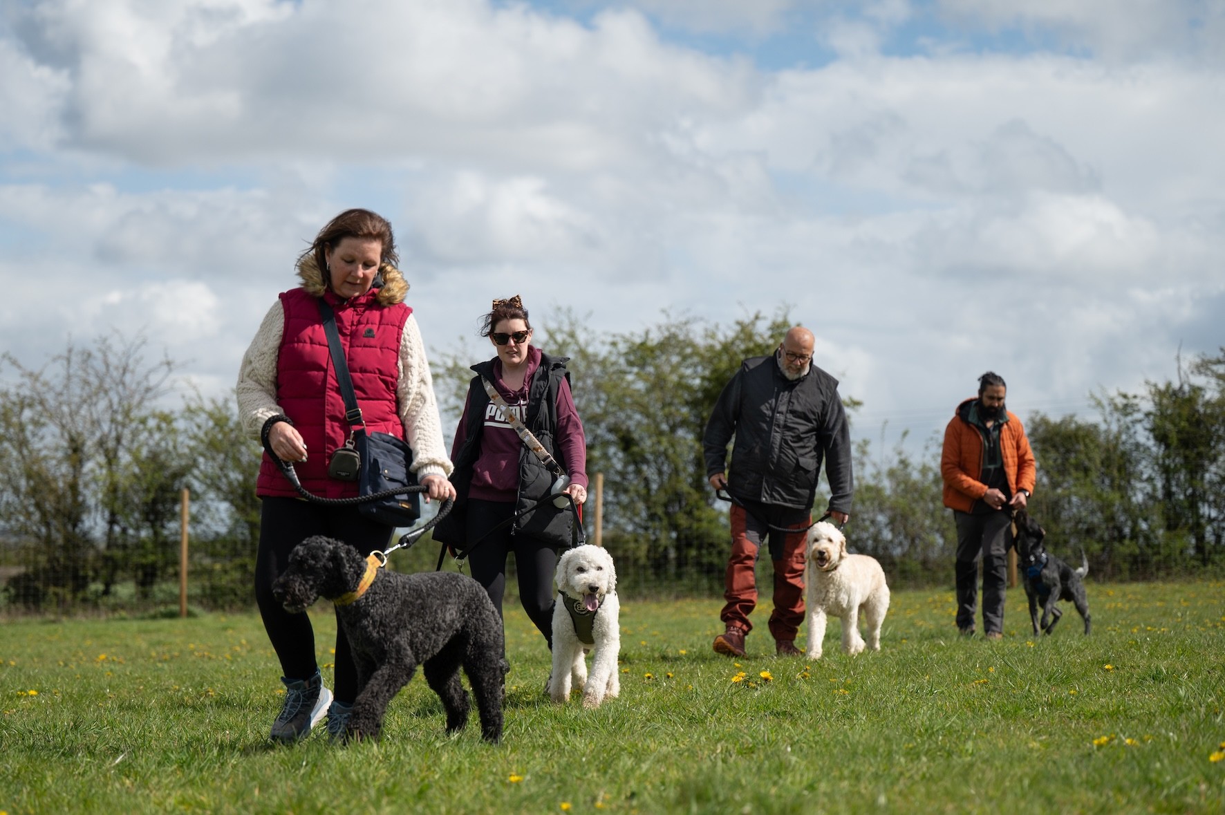 Four dogs and their owners are walking in a single-file manner. All owners are gaining engagement from their dogs, who are walking on leads