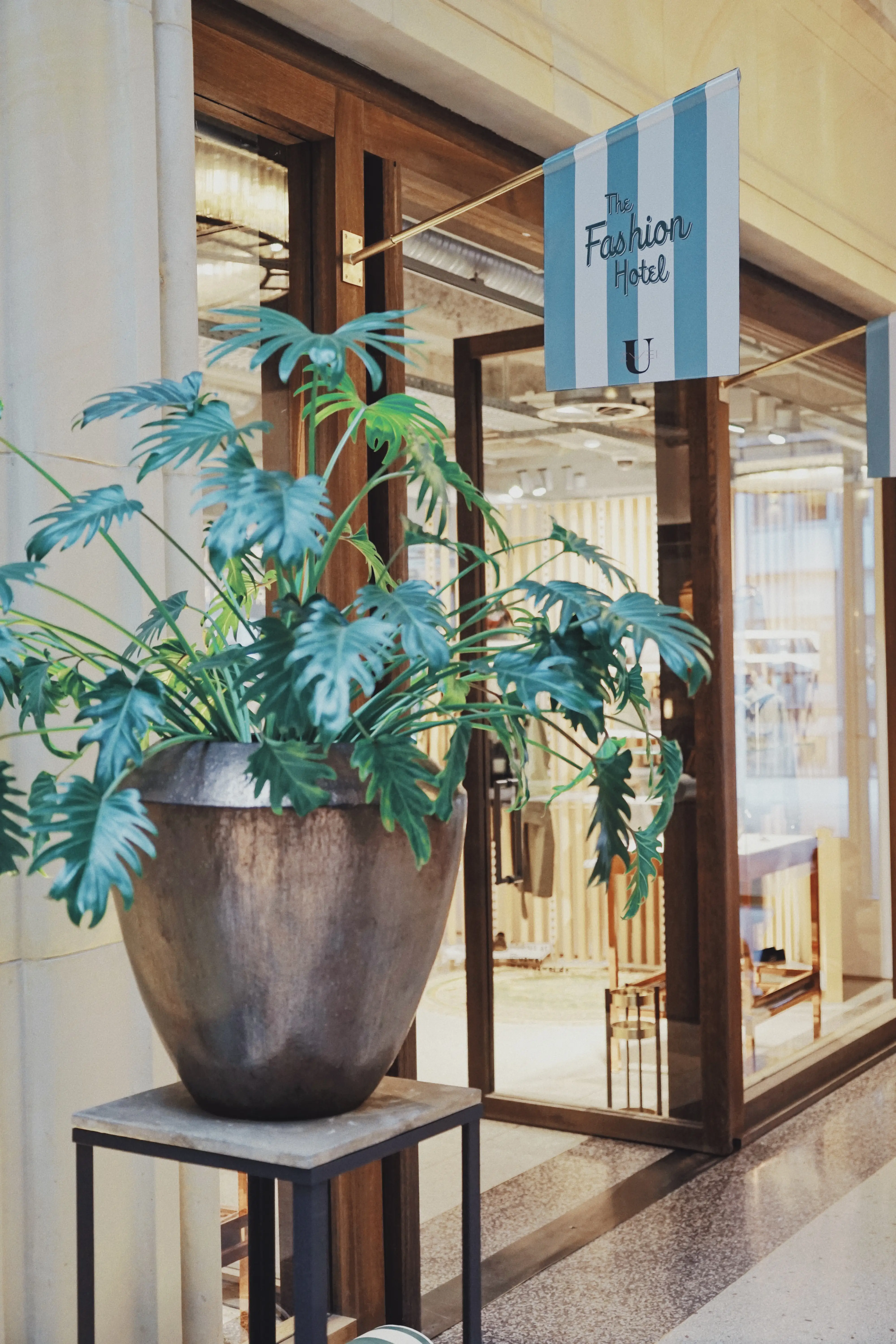 Entrance to UZWEI FASHION HOTEL with a striped light blue flag sign reading The Fashion Hotel and a large potted philodendron in front of wooden-framed glass doors.