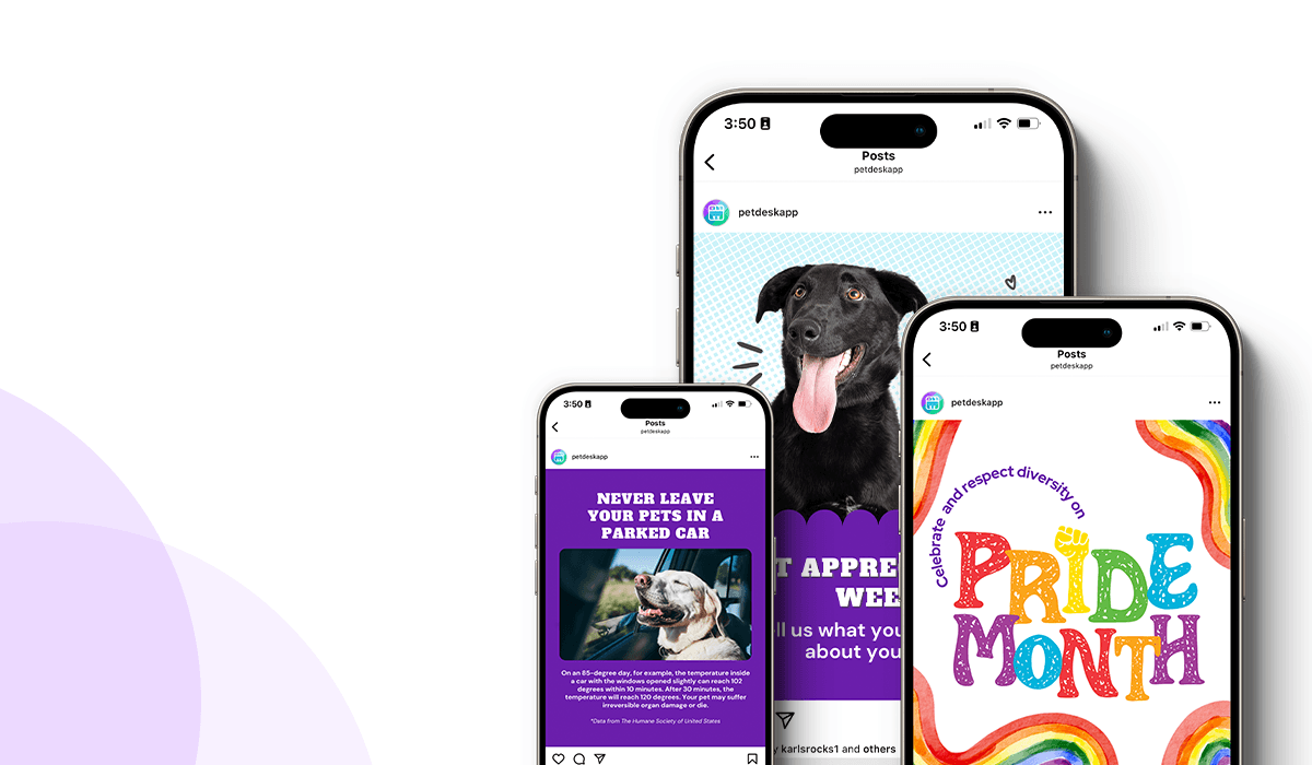 13 Awesome Veterinary Marketing Ideas for June 2024