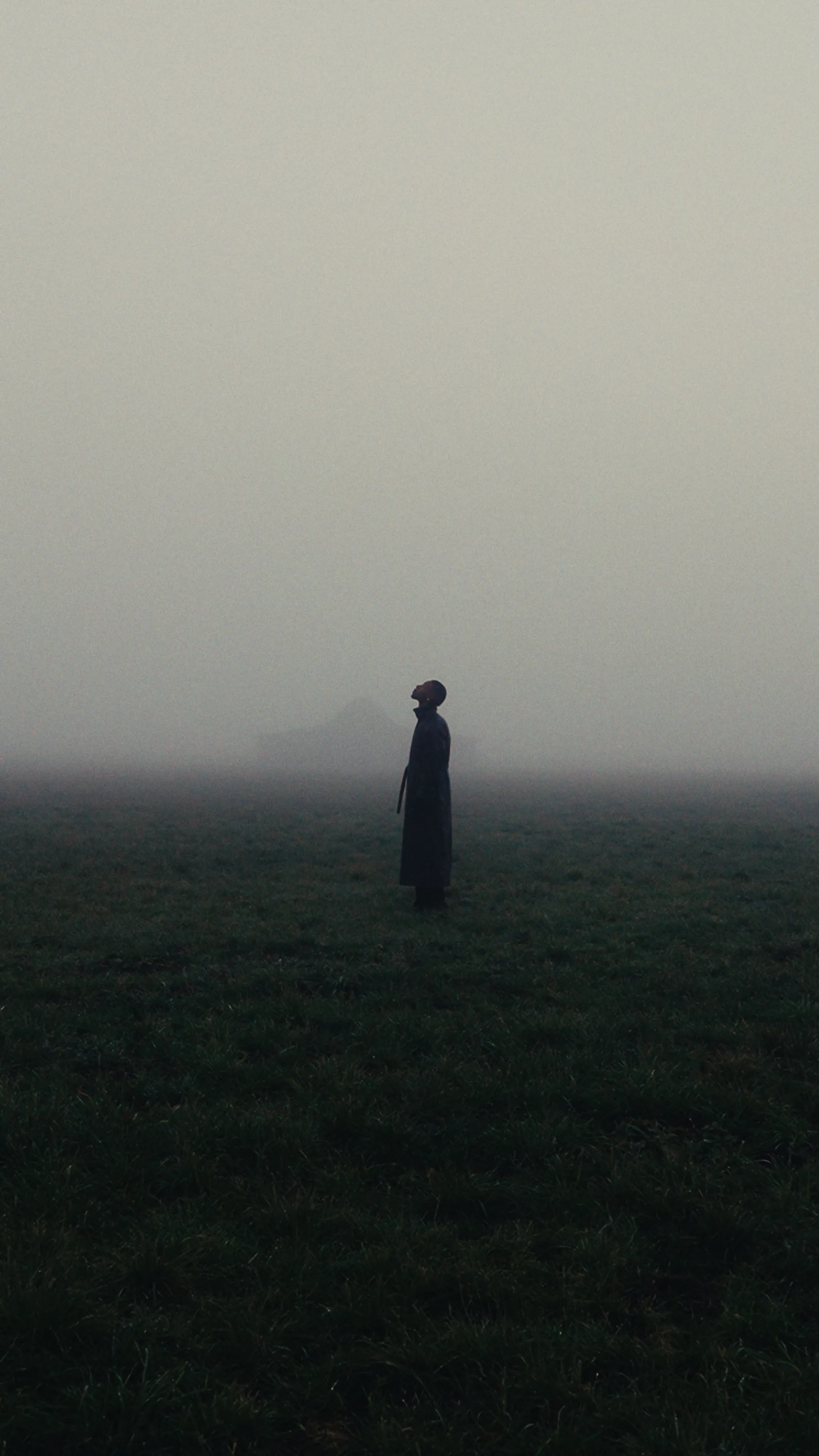 Dom Pérignon vineyards from the sky