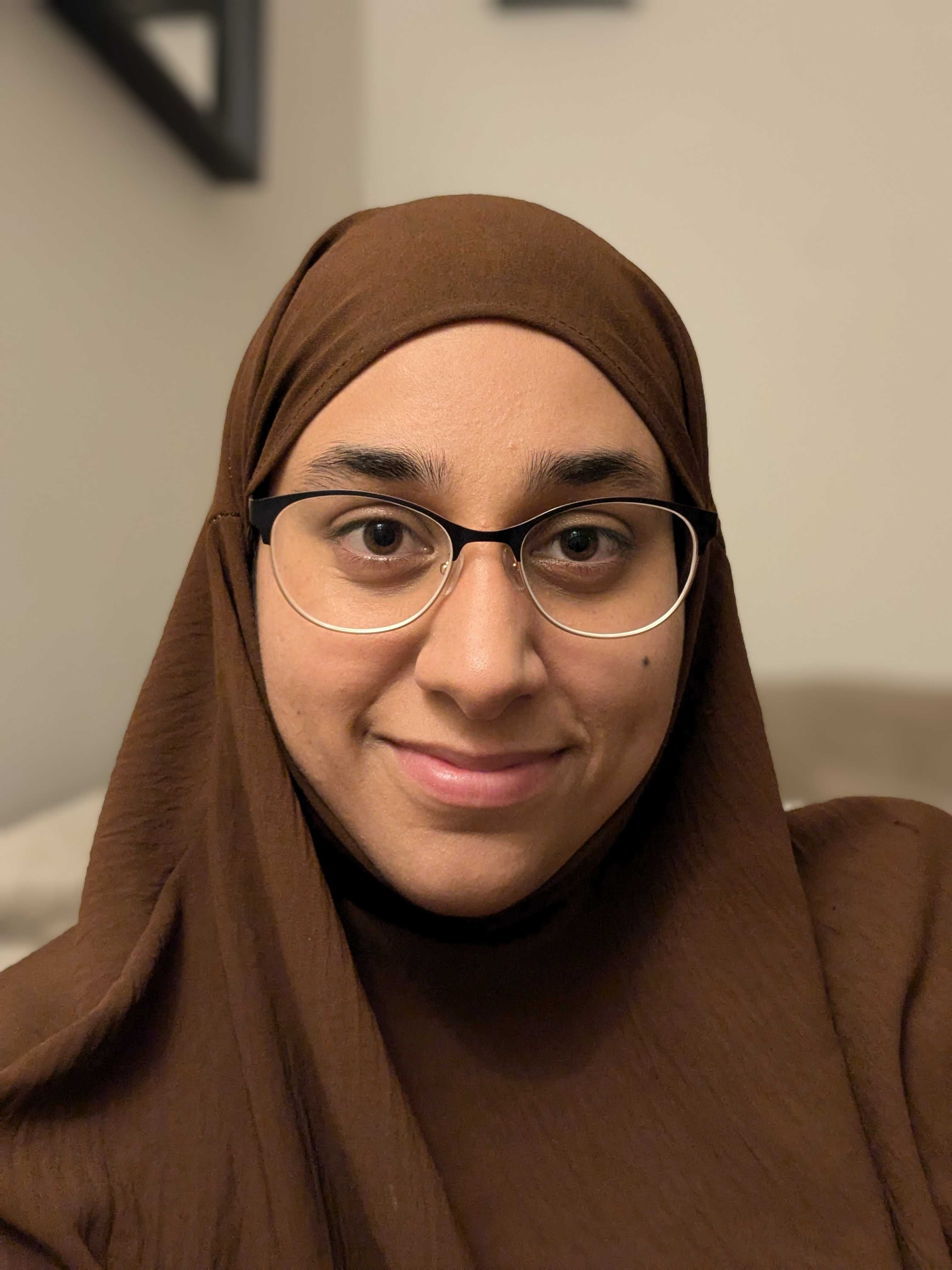 An image of hena hamid